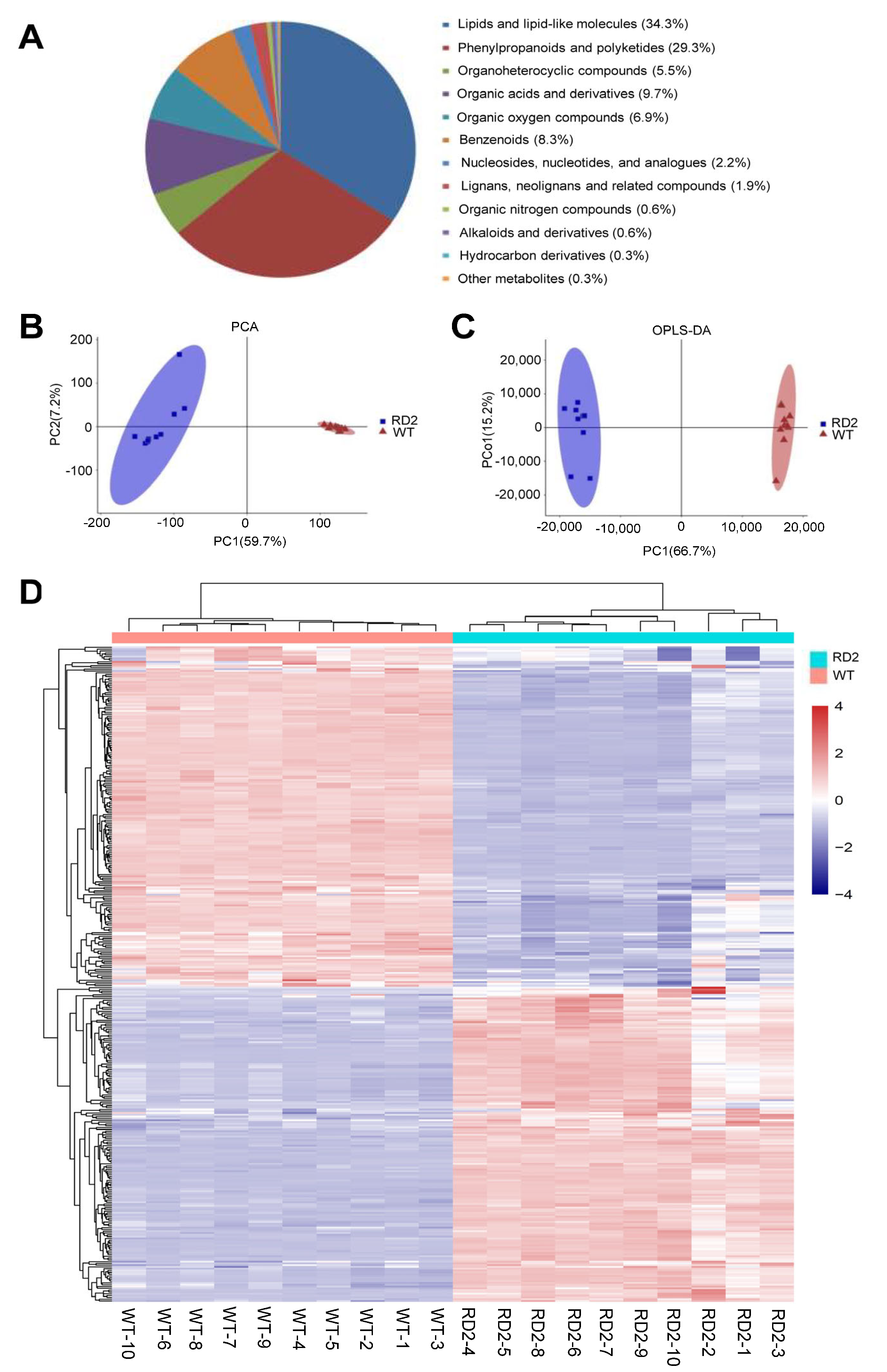 Plants 12 03009 g002