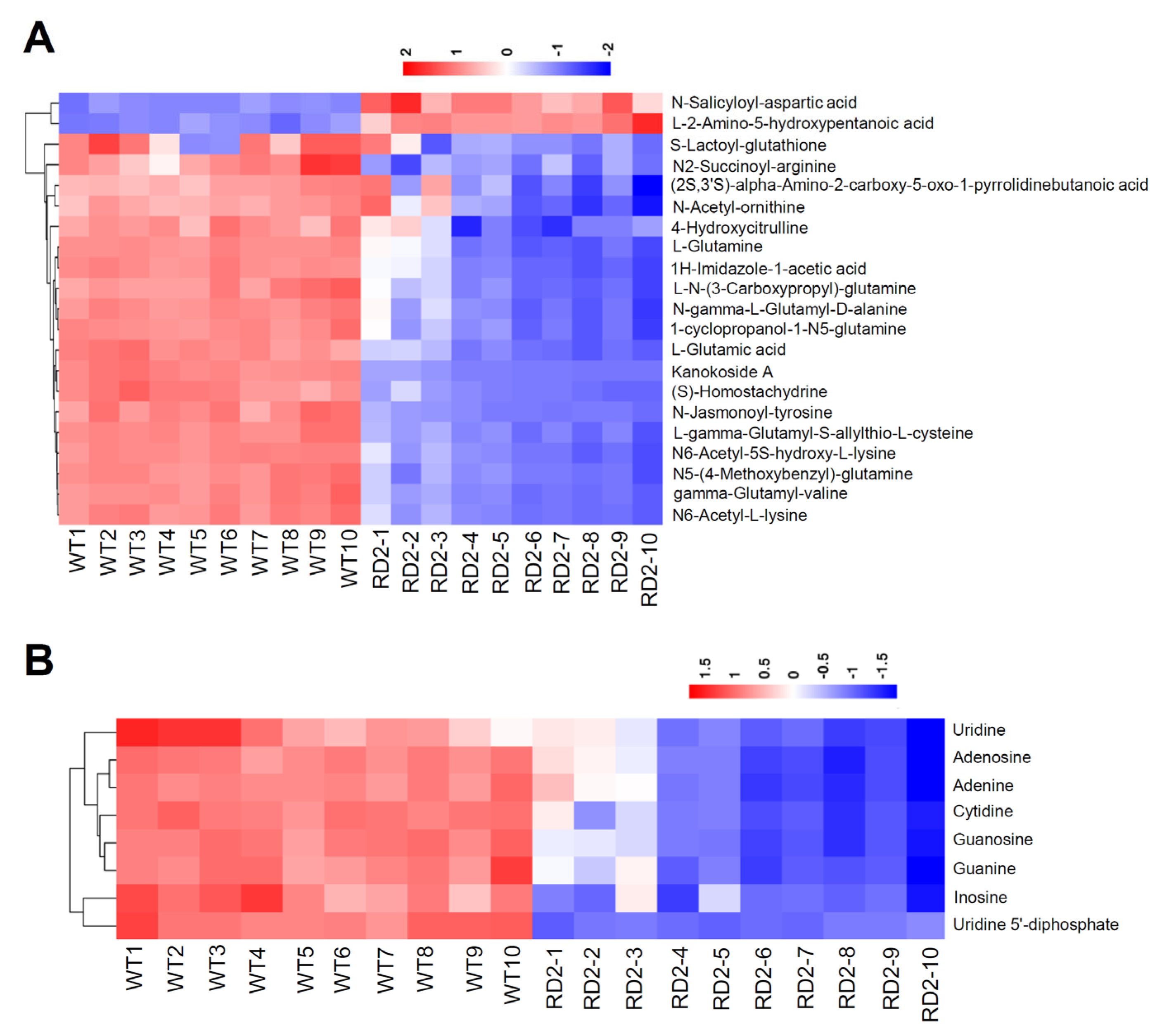 Plants 12 03009 g004