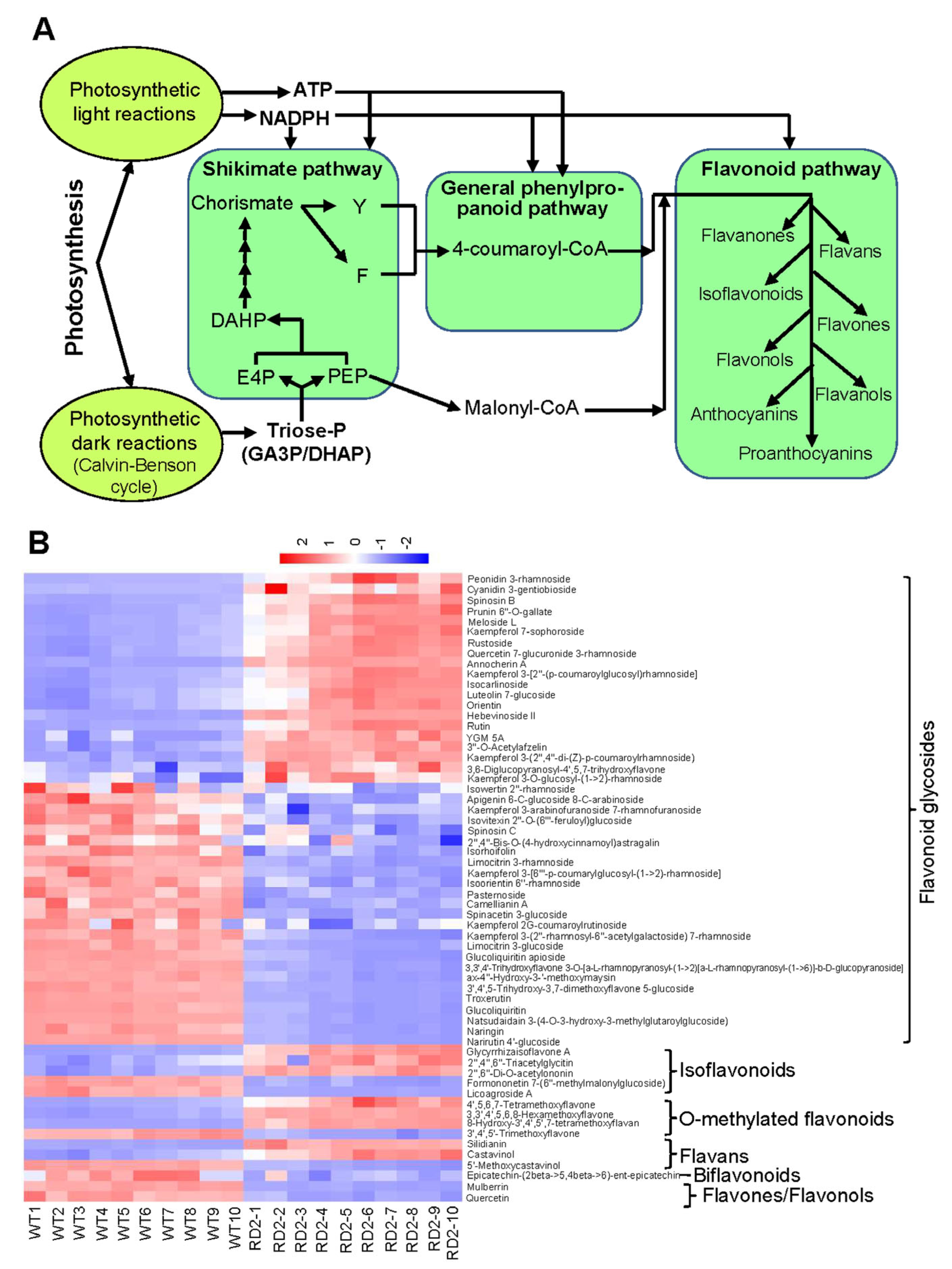 Plants 12 03009 g005