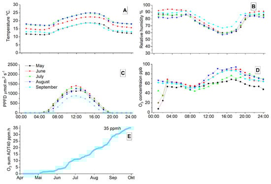 Plants 12 03011 g0a1
