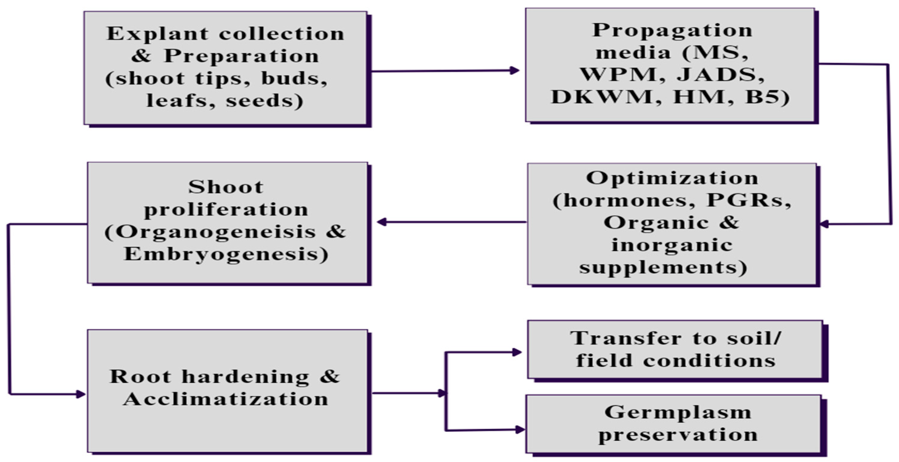 Plants 12 03018 g002