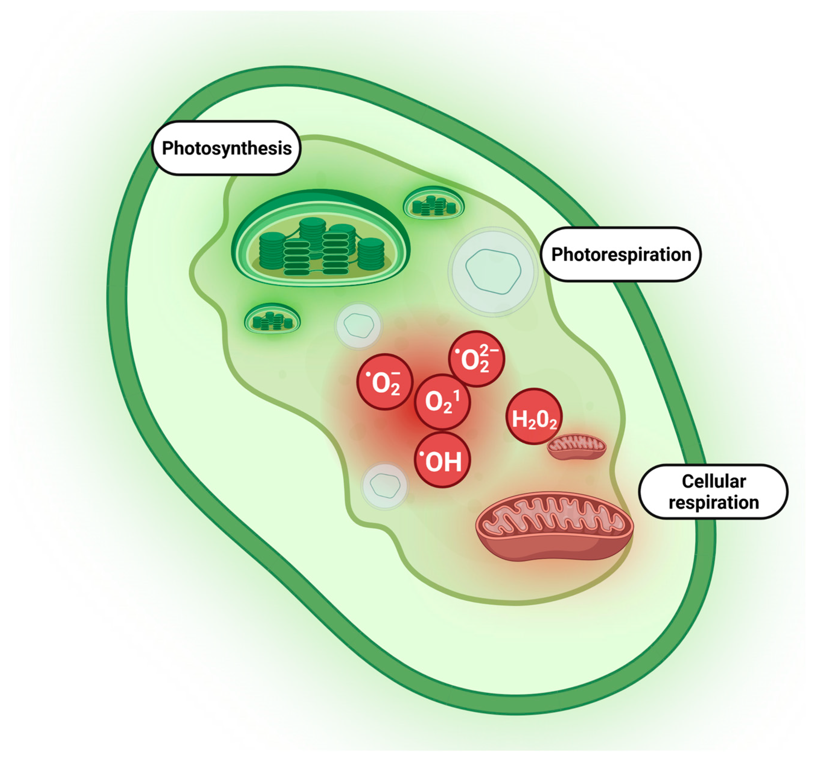 Plants 12 03023 g001