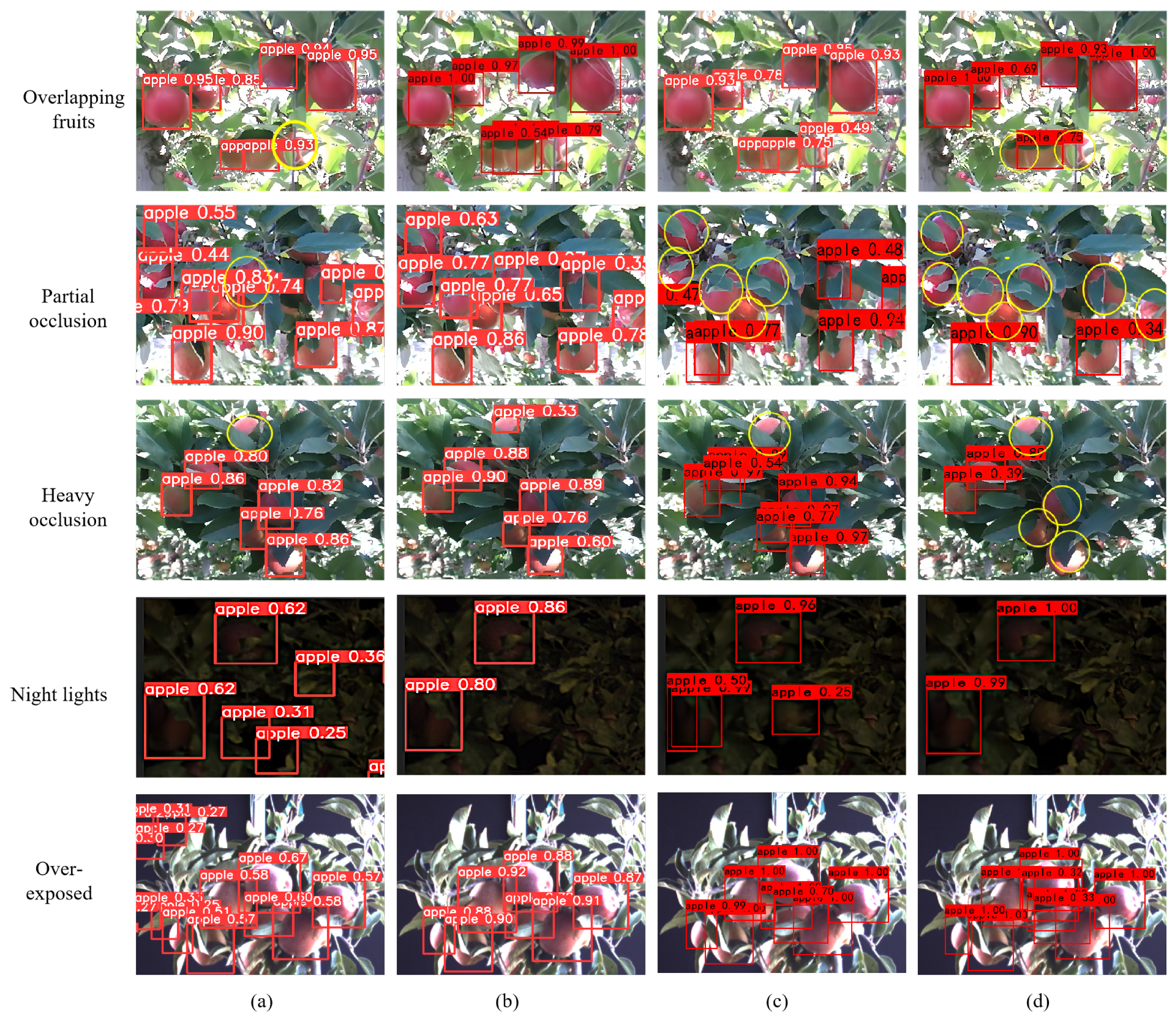 Plants 12 03032 g003