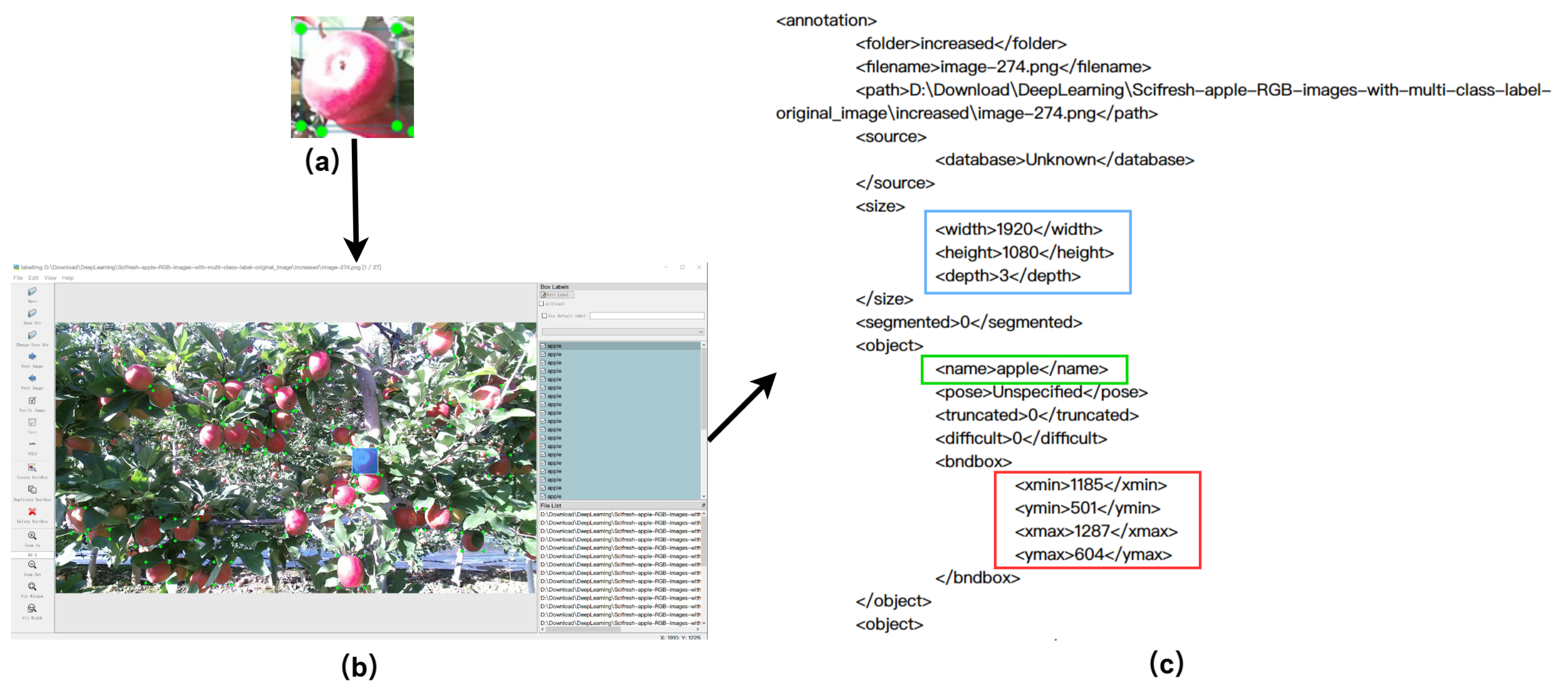 Plants 12 03032 g004