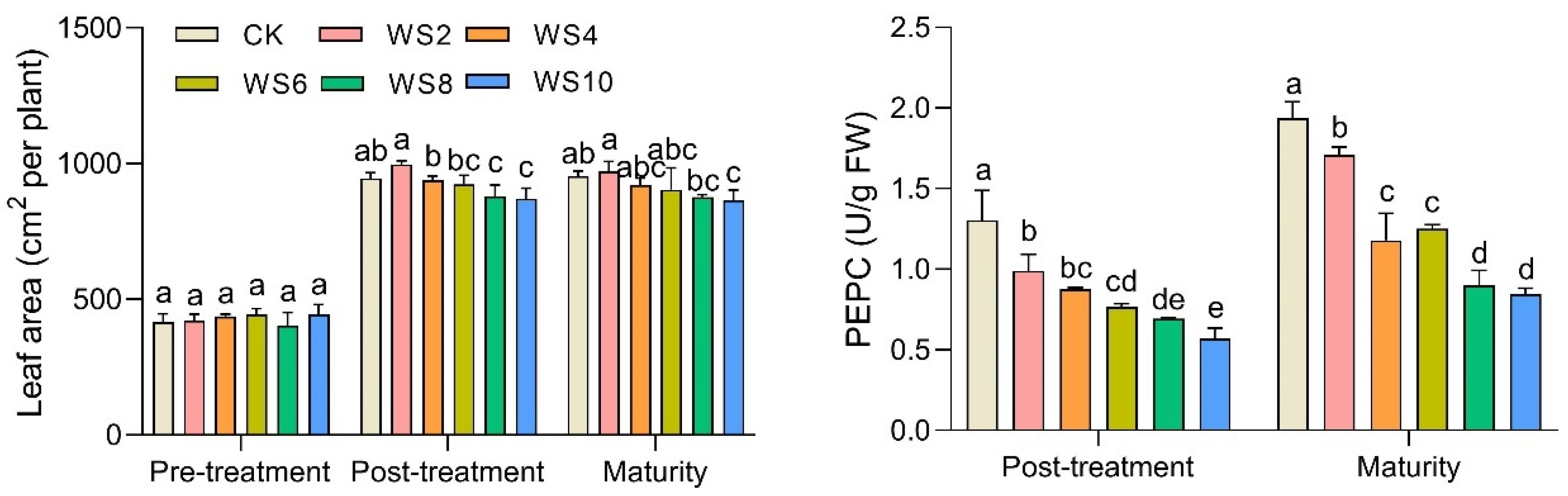 Plants 12 03034 g002
