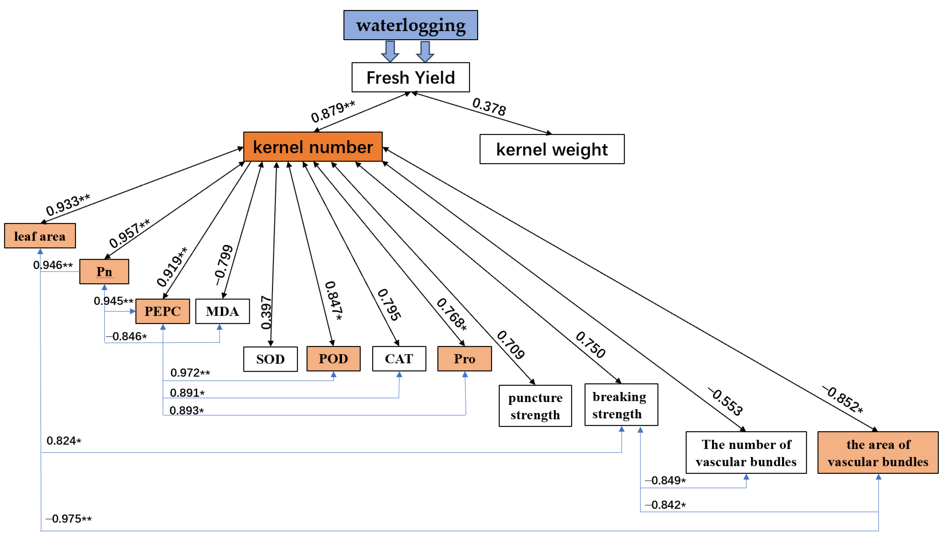 Plants 12 03034 g008