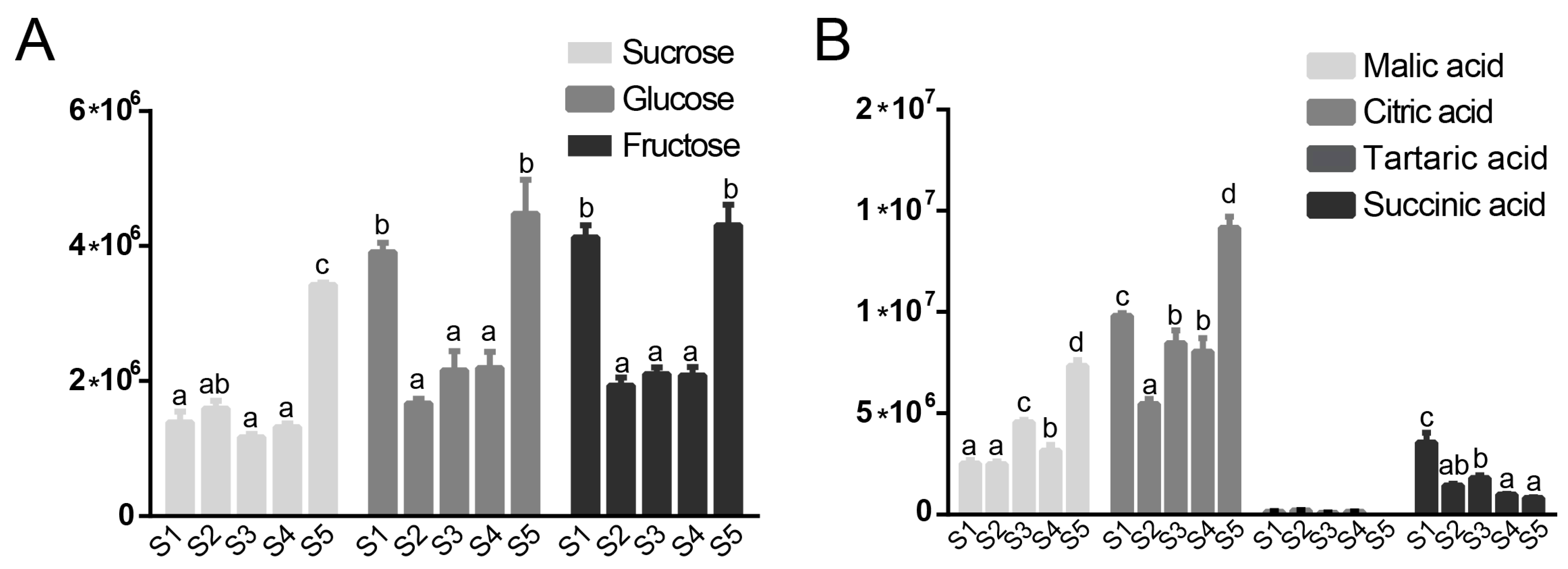 Plants 12 03036 g002