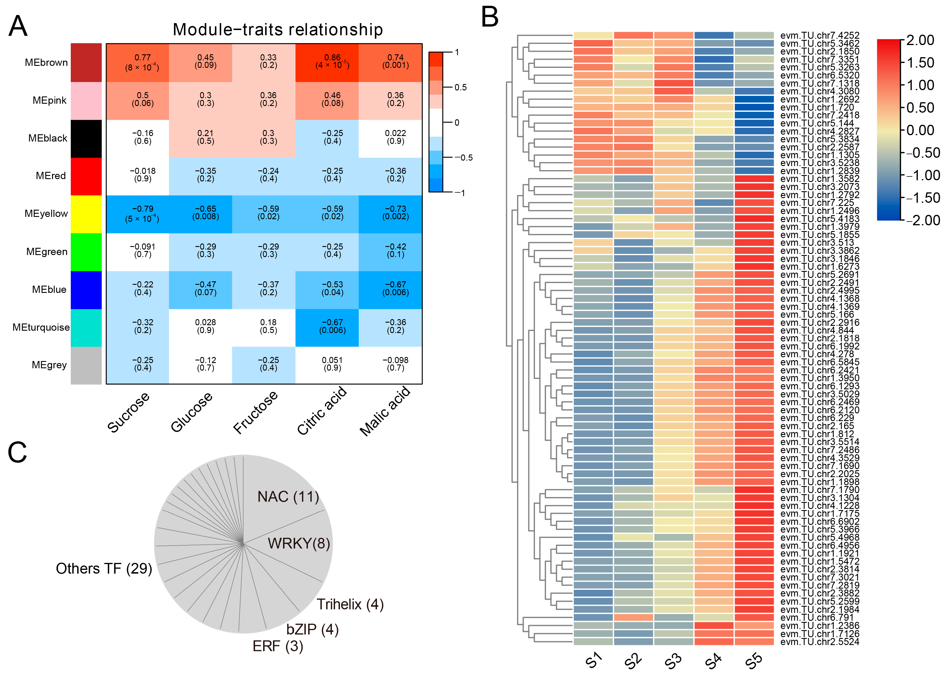 Plants 12 03036 g005