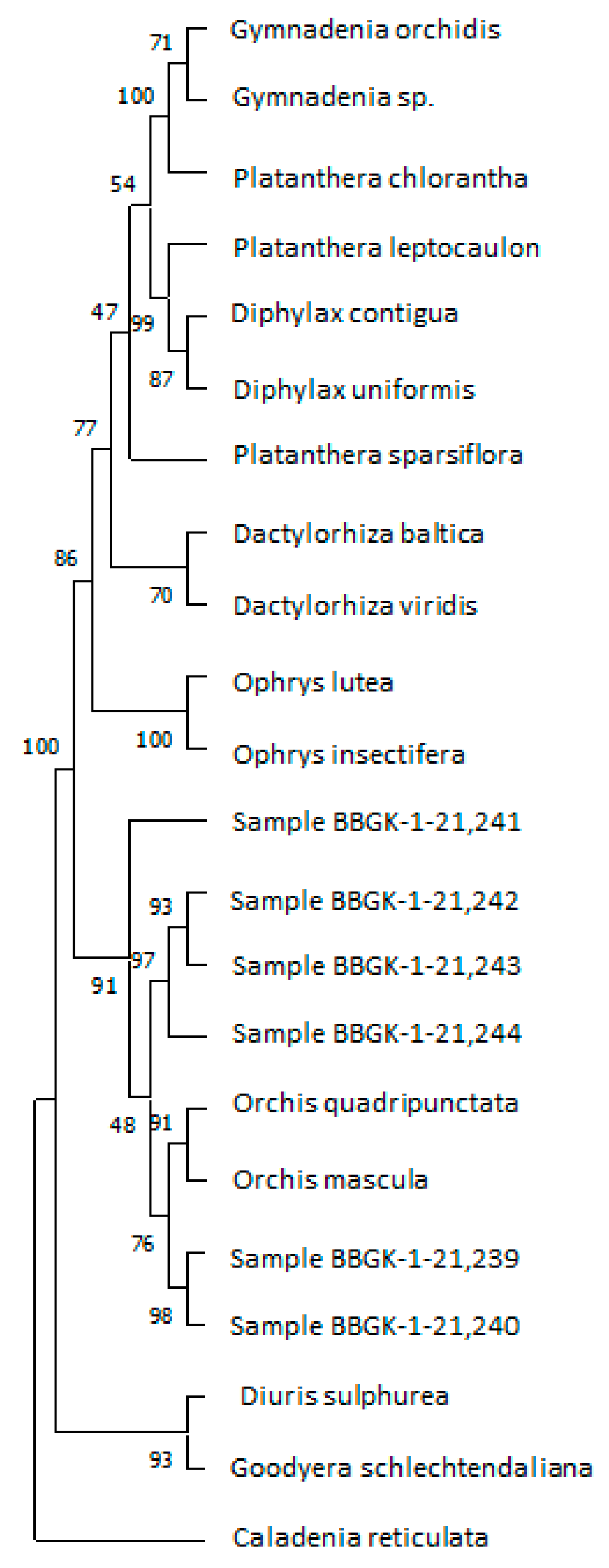 Plants 12 03038 g003