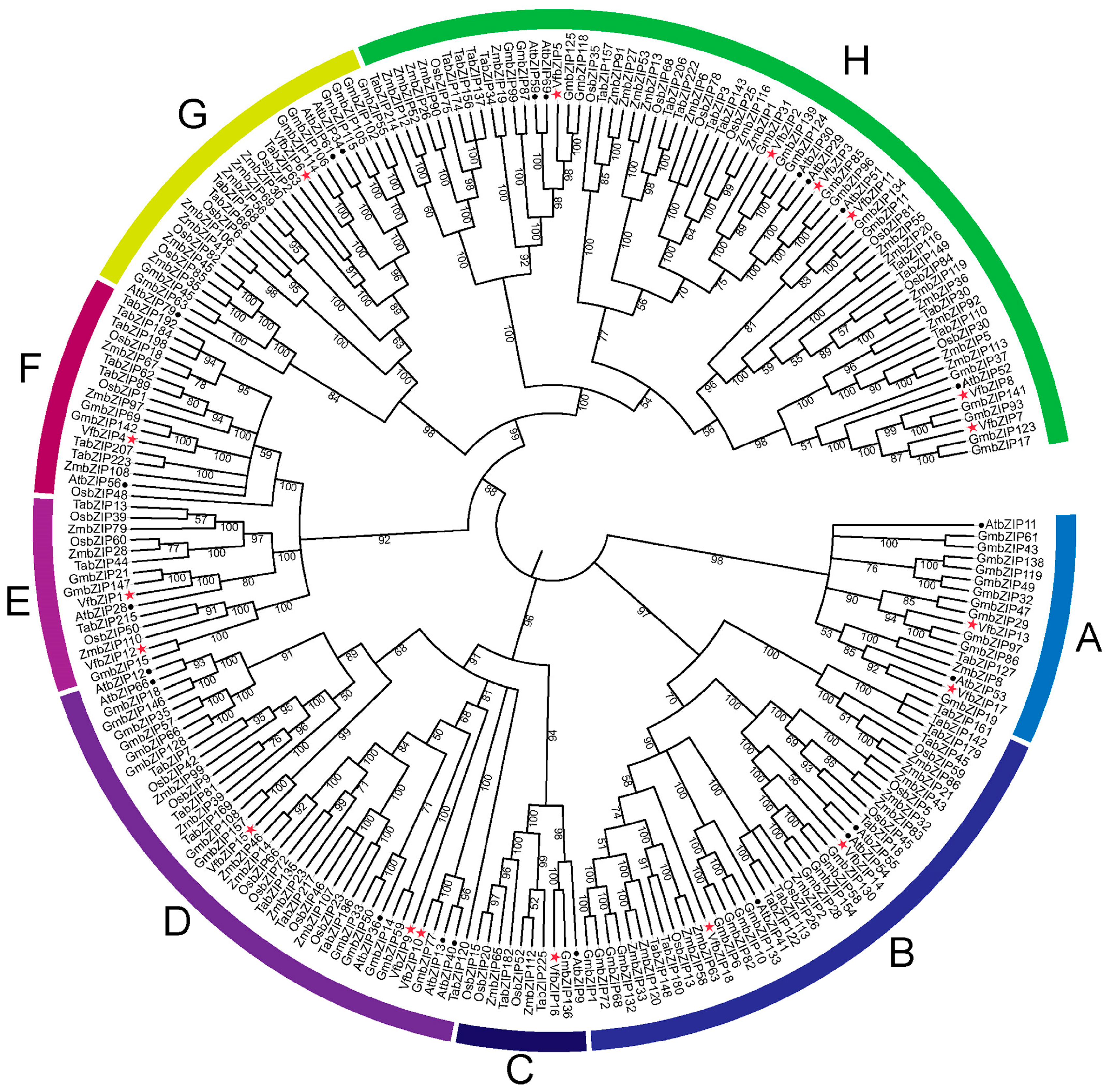 Plants 12 03041 g002