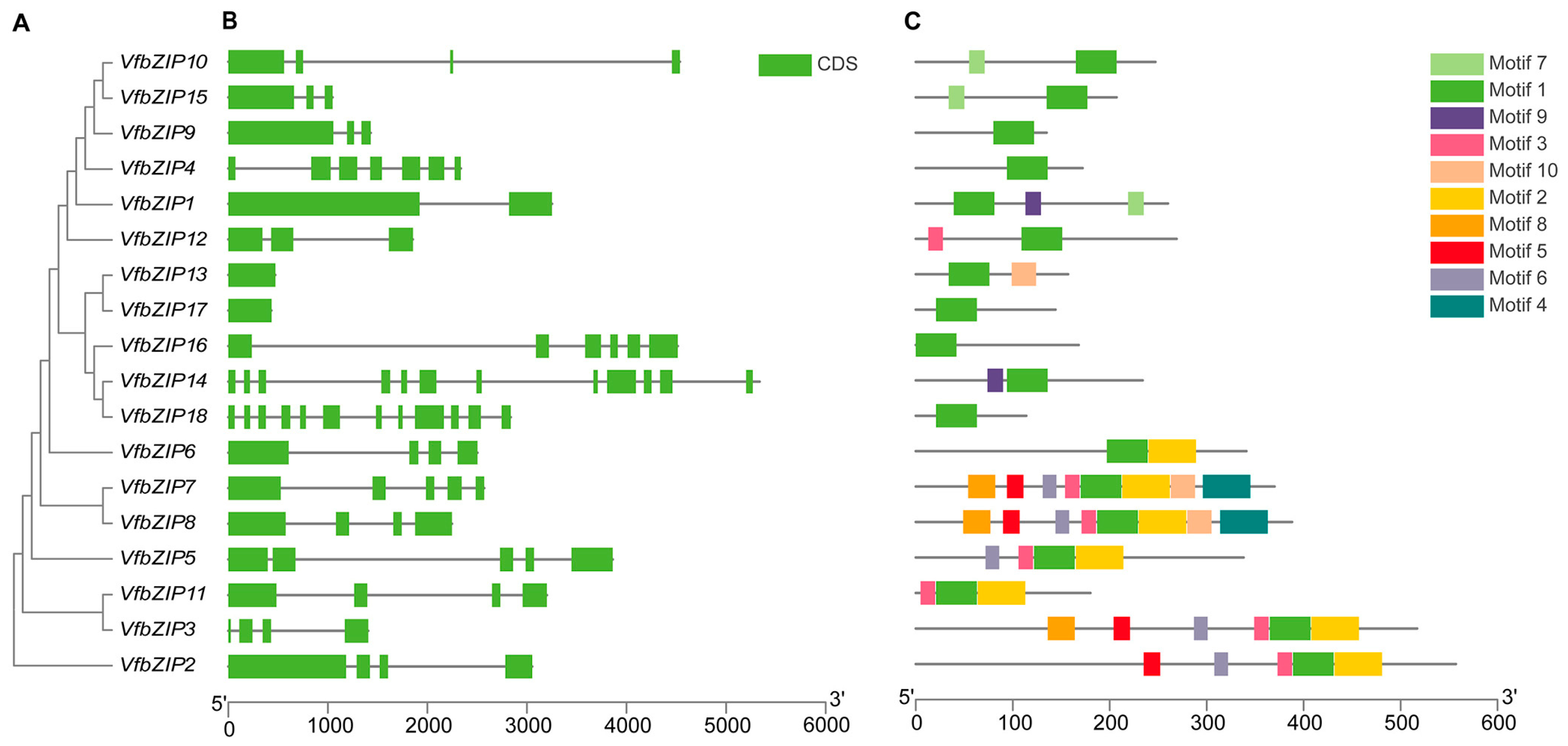 Plants 12 03041 g003