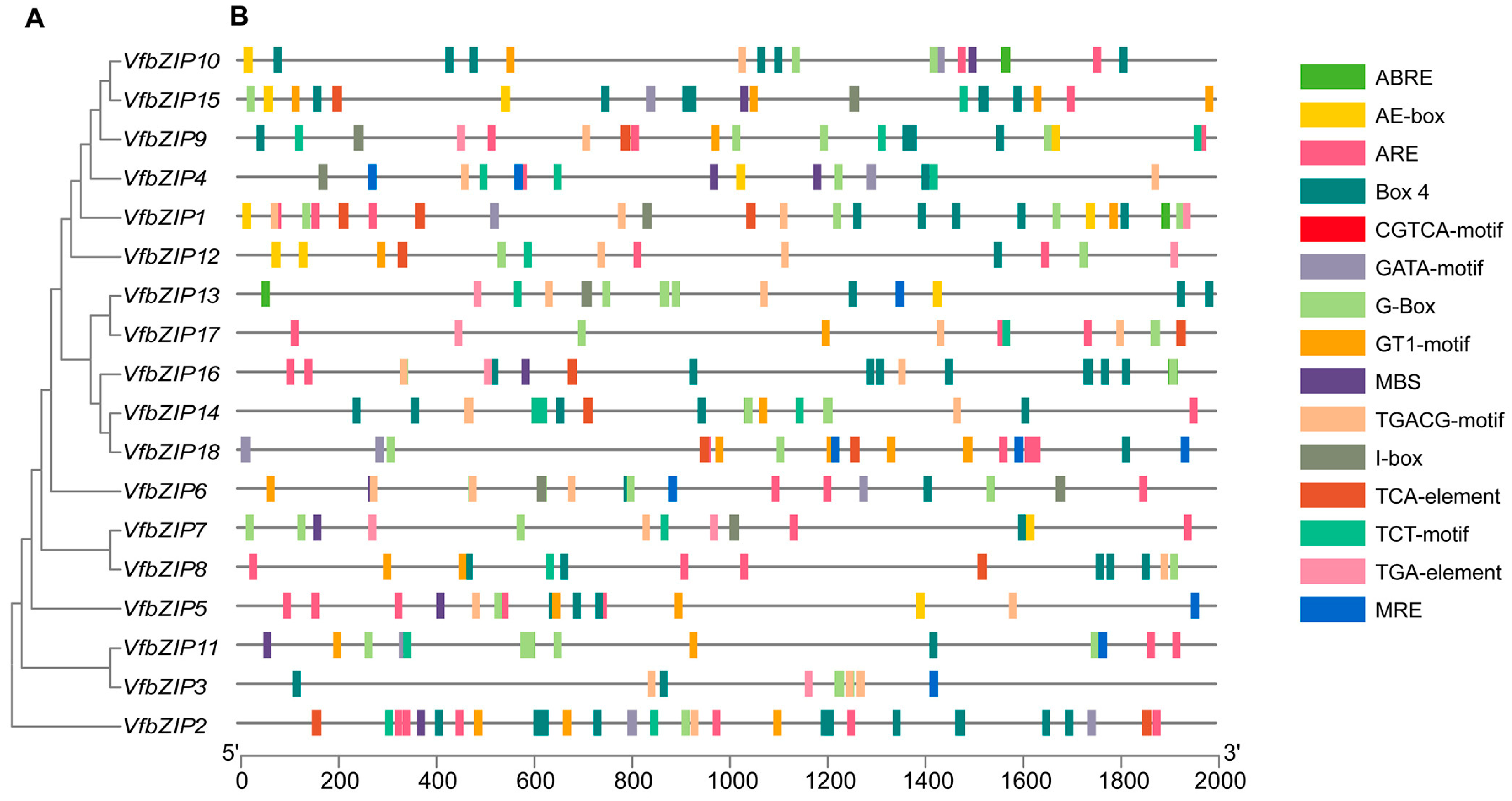 Plants 12 03041 g004