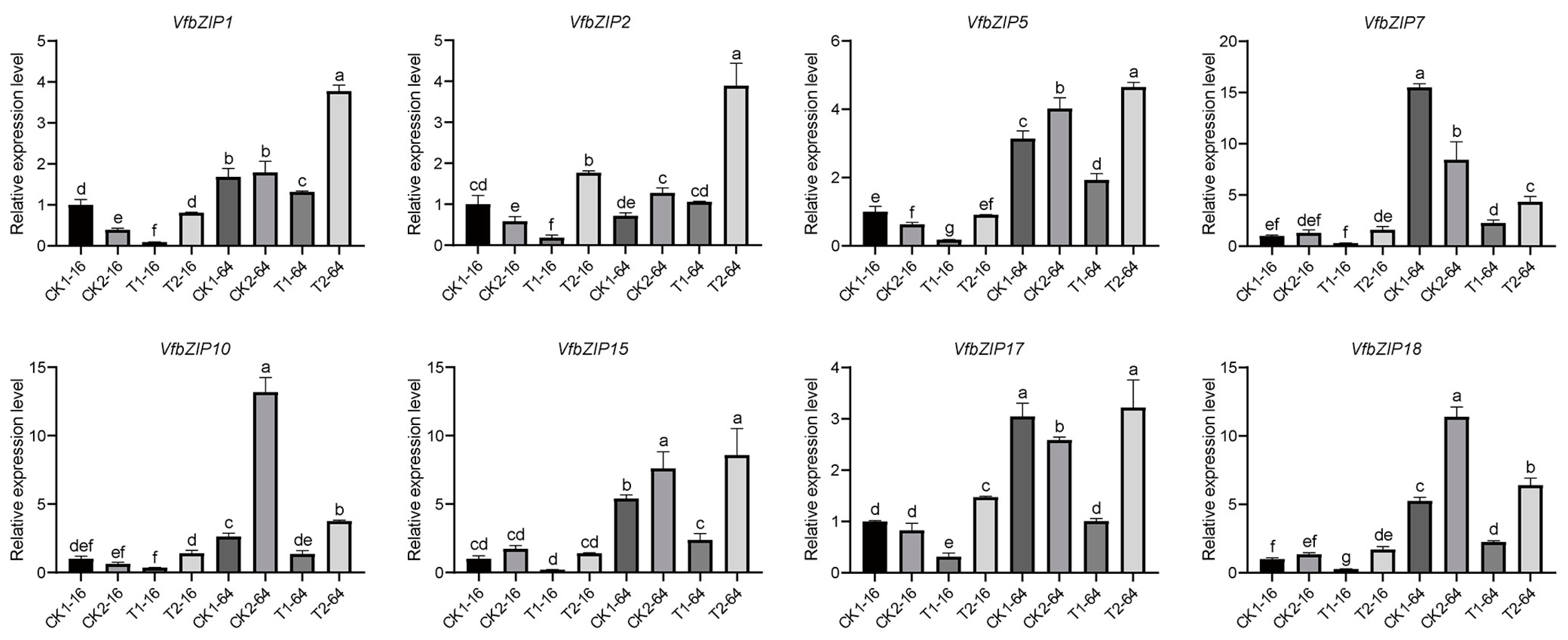 Plants 12 03041 g006