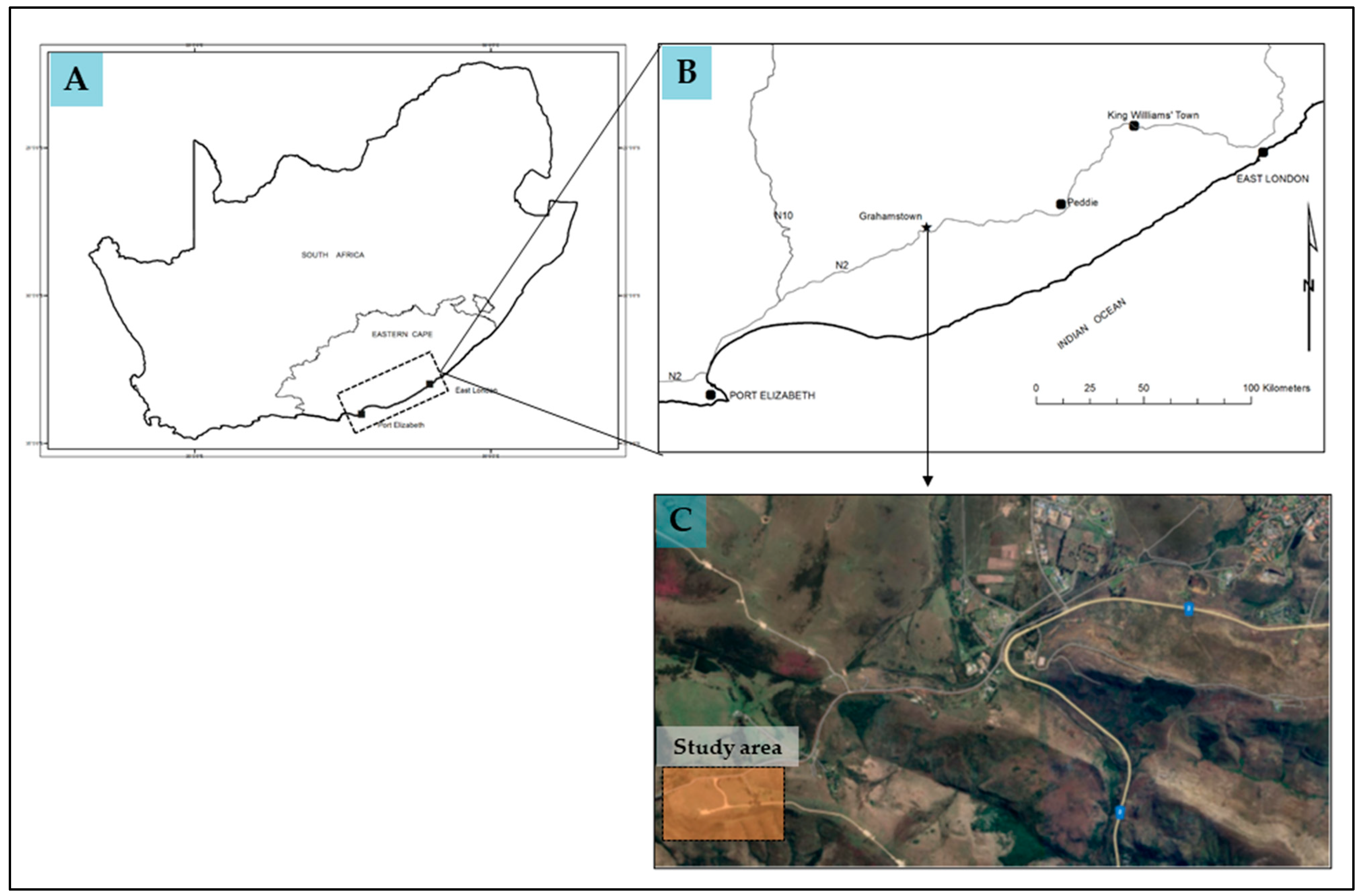 Plants 12 03047 g003
