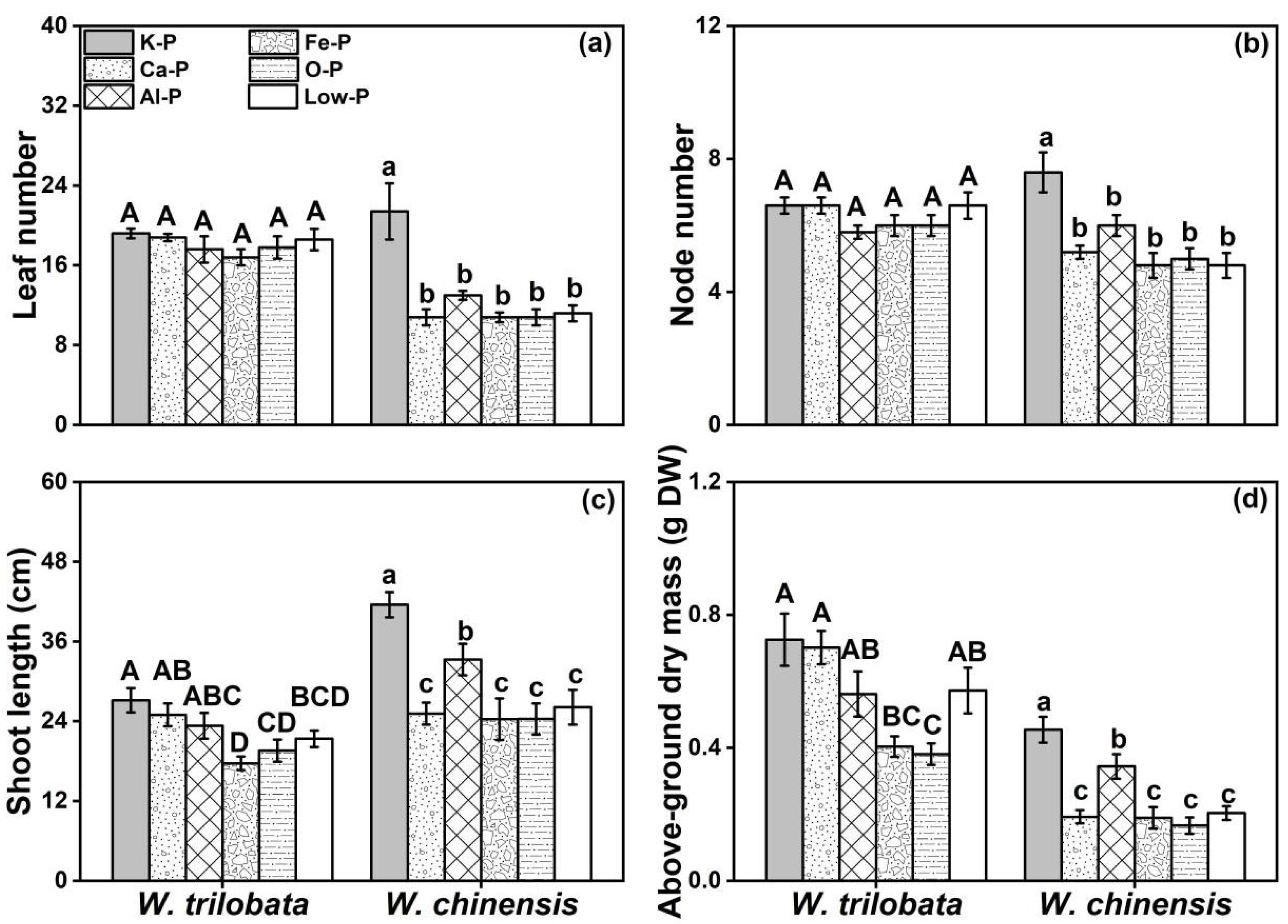 Plants 12 03051 g001