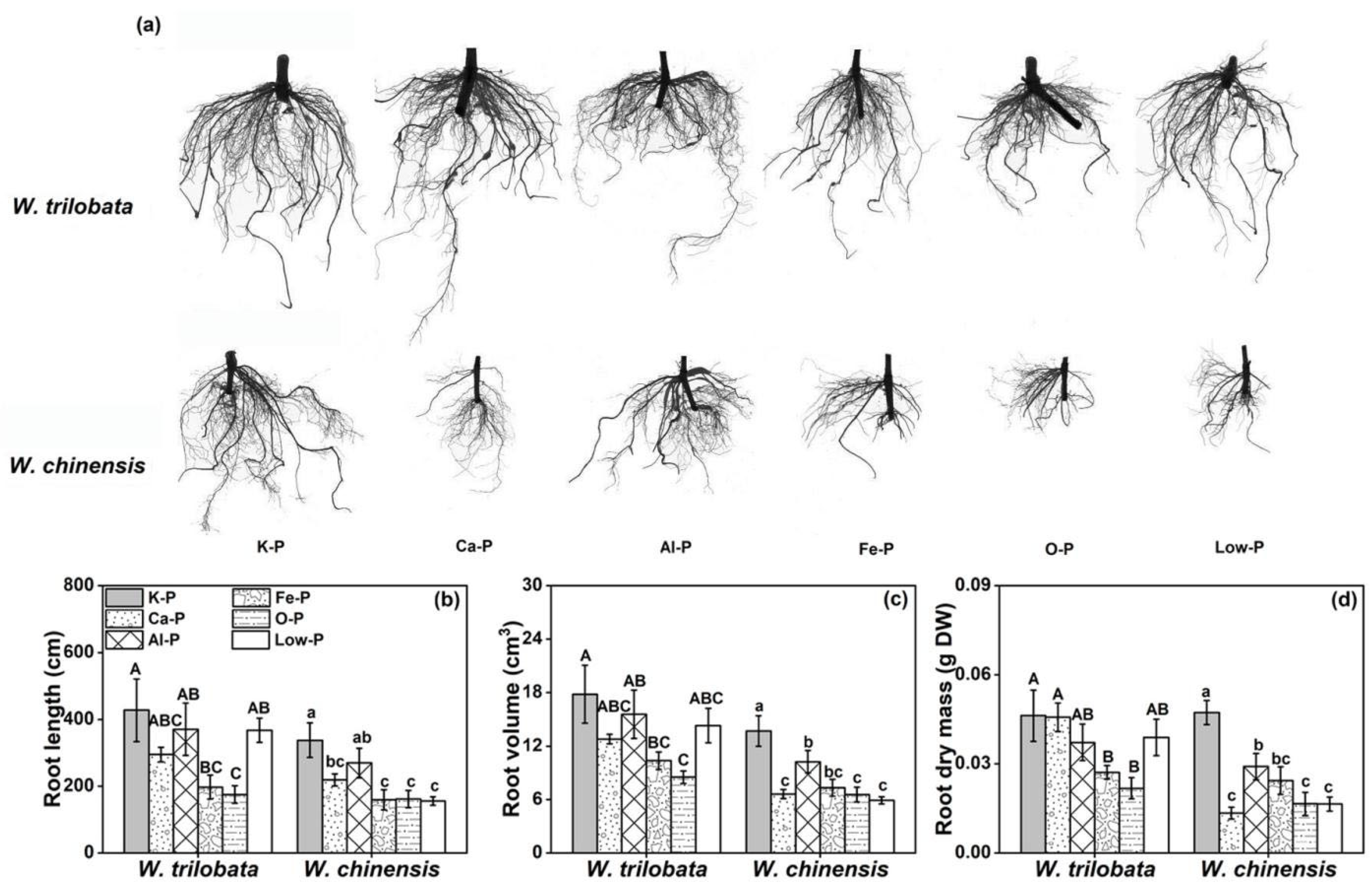 Plants 12 03051 g002