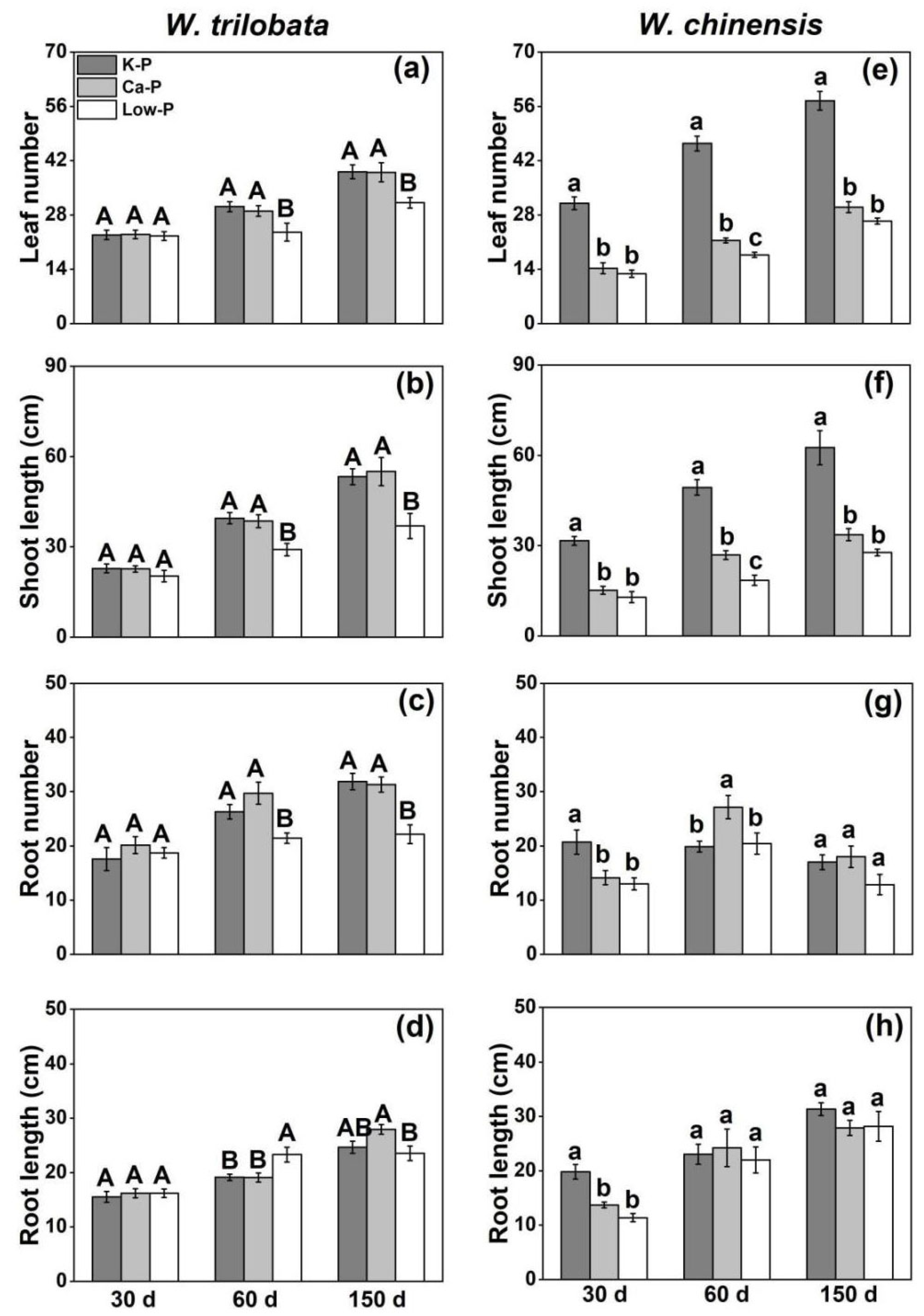 Plants 12 03051 g004