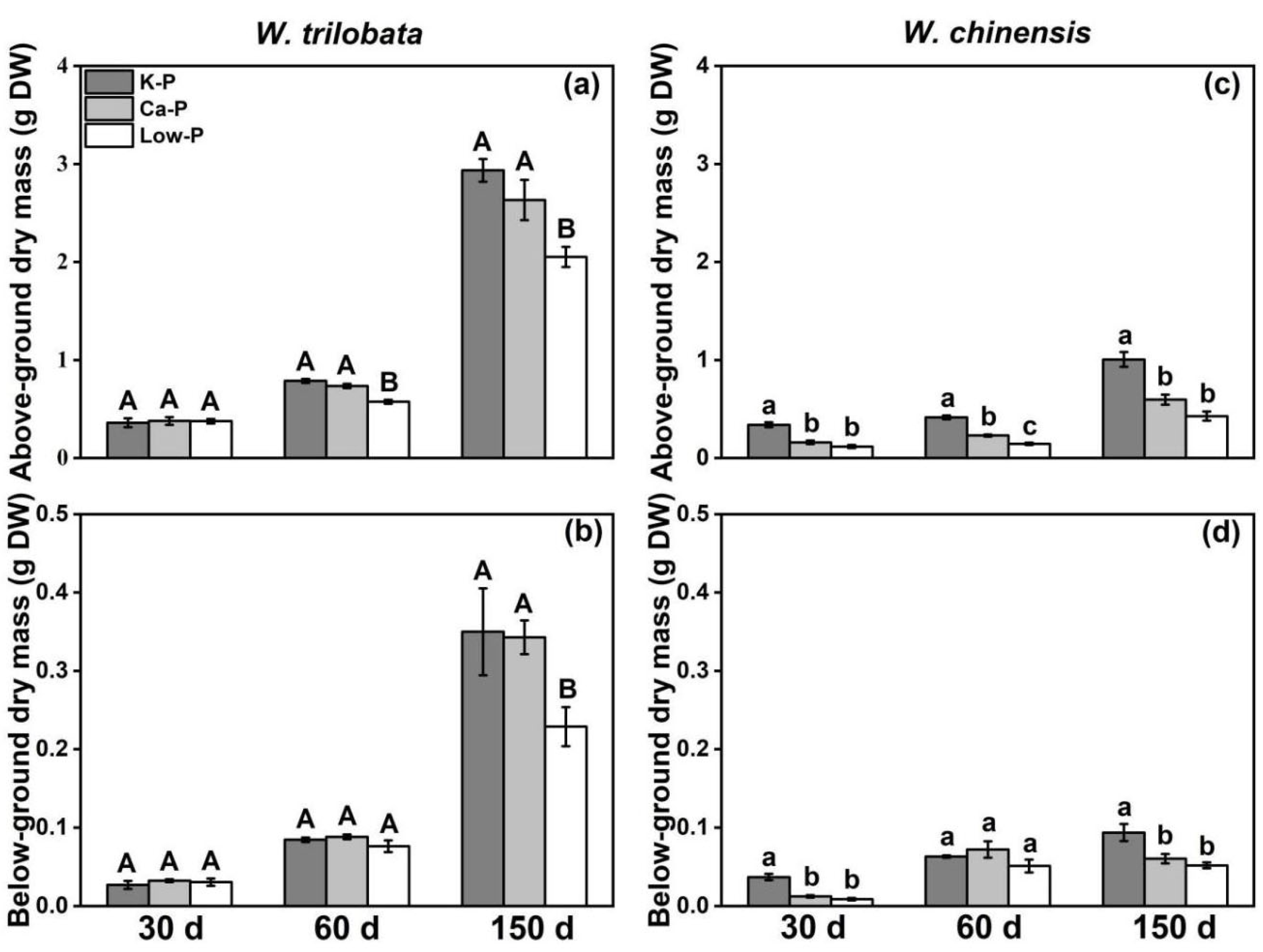 Plants 12 03051 g005