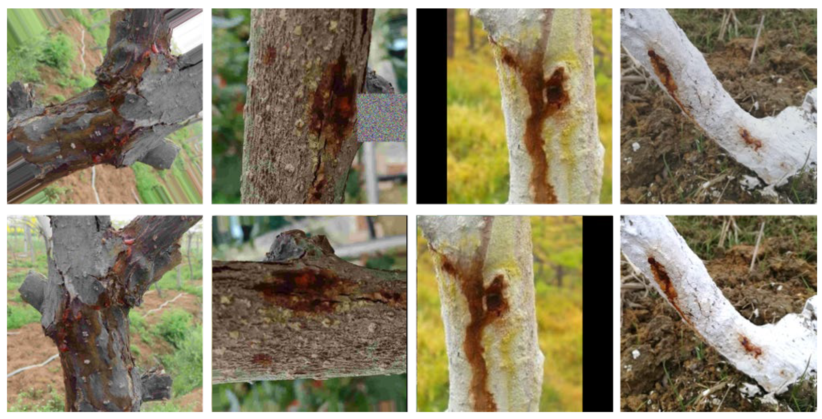 Plants 12 03053 g015