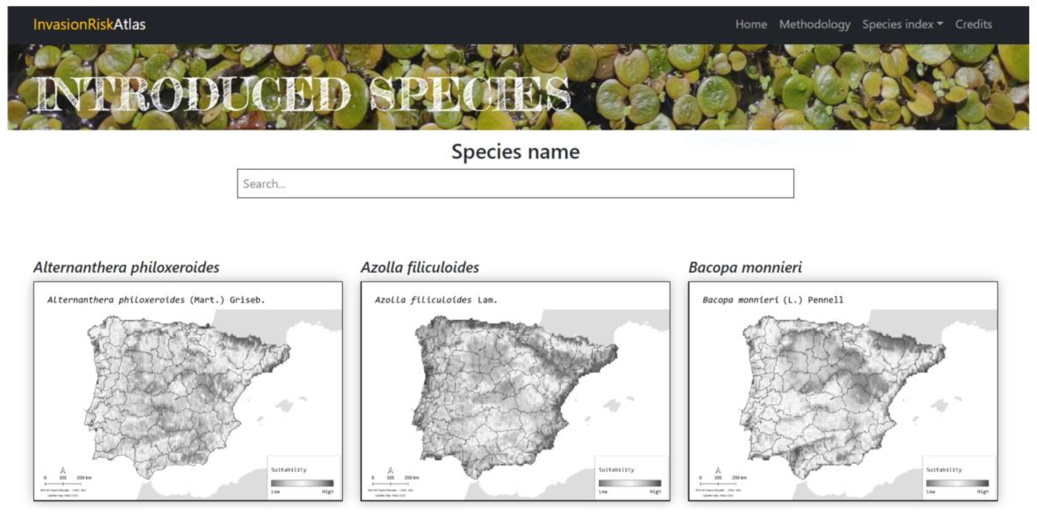 Plants 12 03069 g005