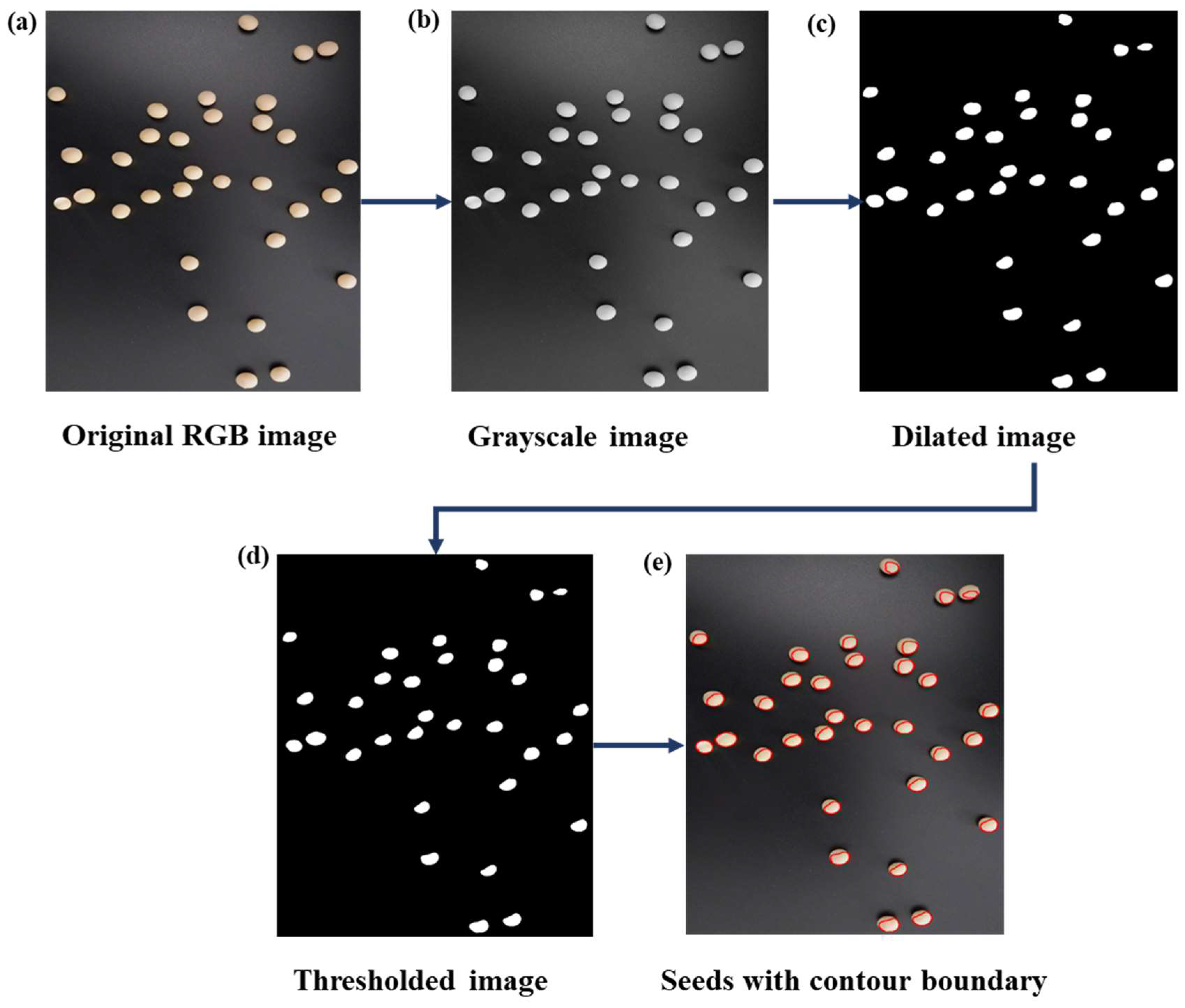 Plants 12 03078 g003