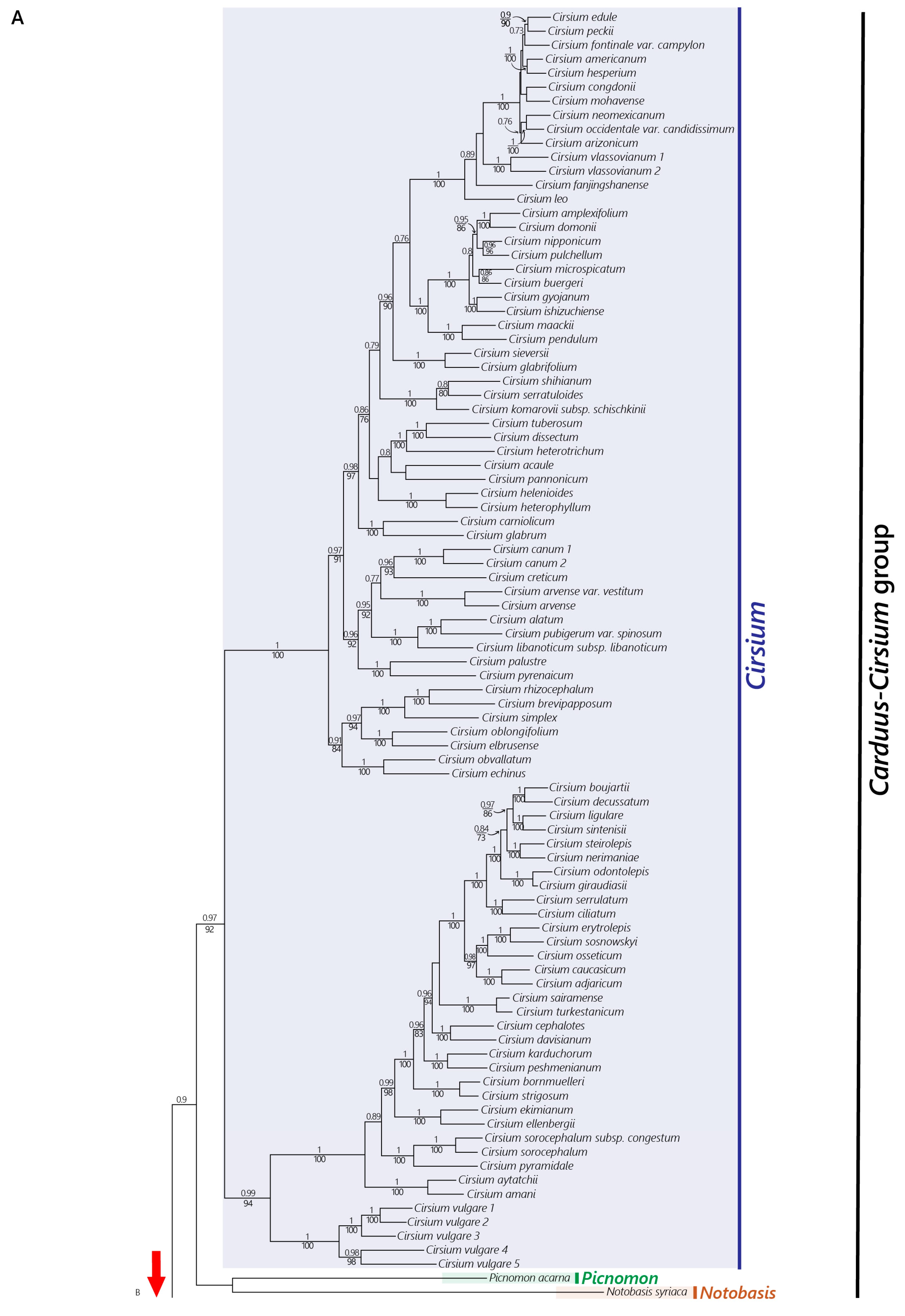 Plants 12 03083 g001a