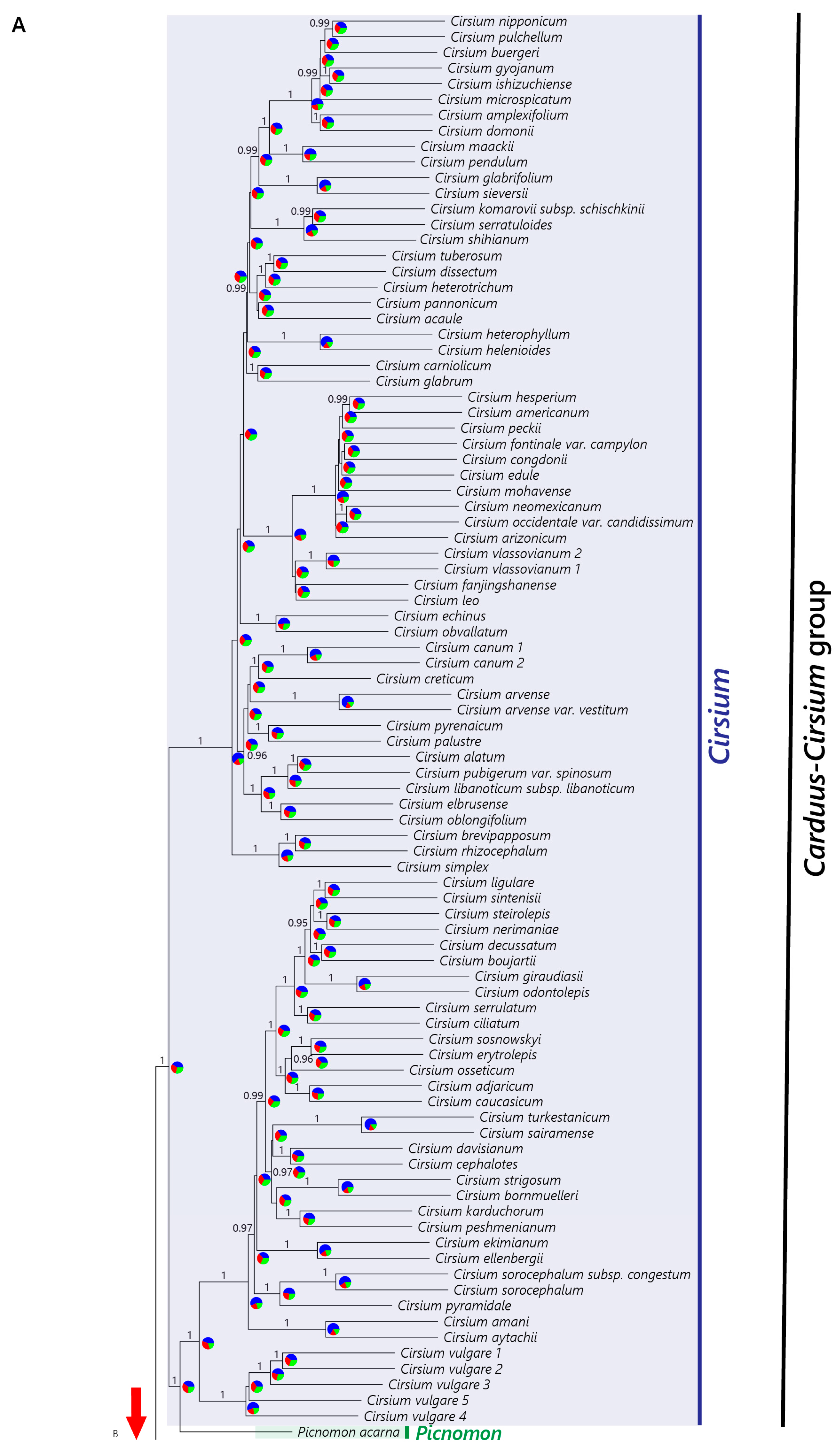 Plants 12 03083 g002a