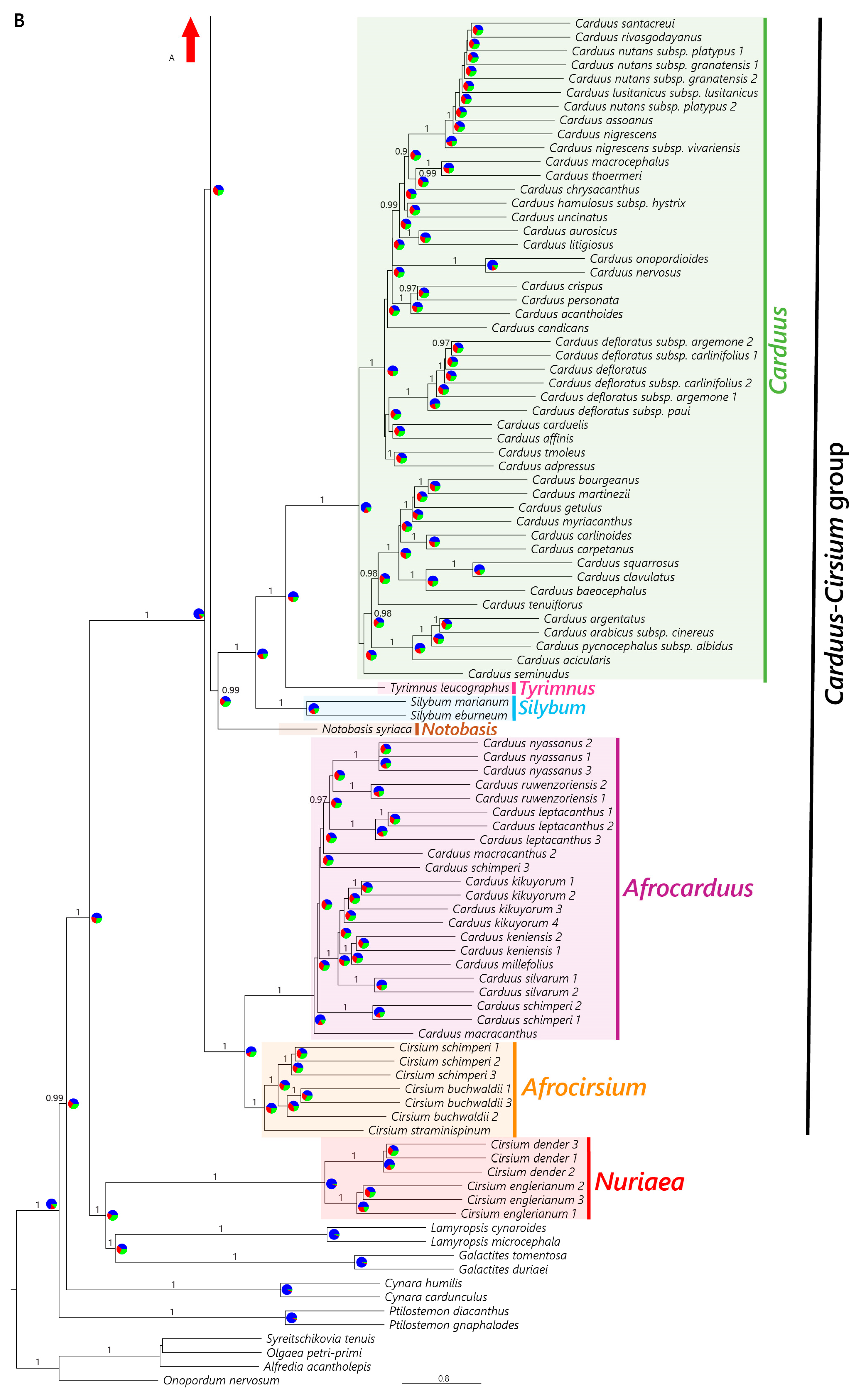 Plants 12 03083 g002b
