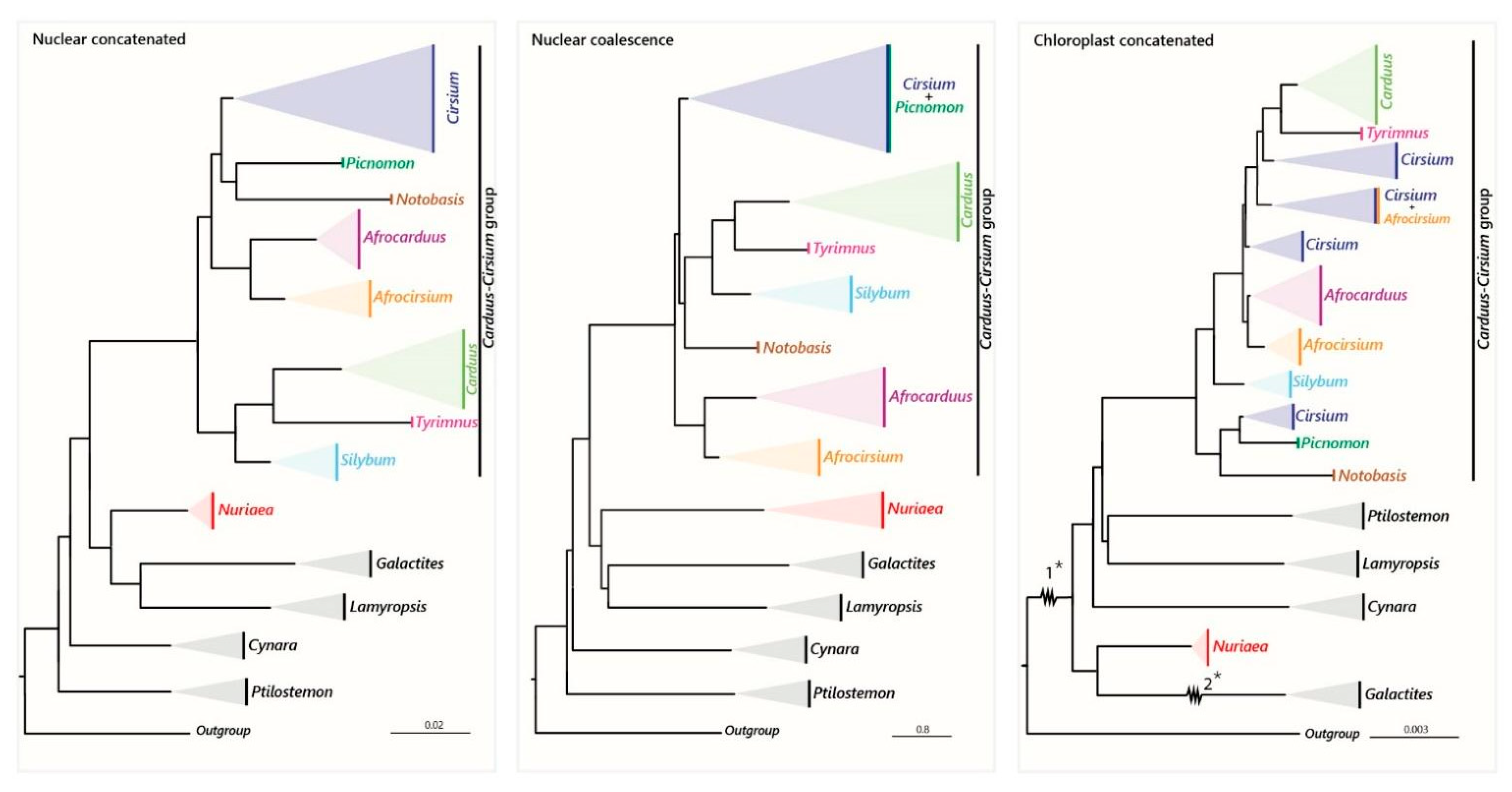 Plants 12 03083 g003