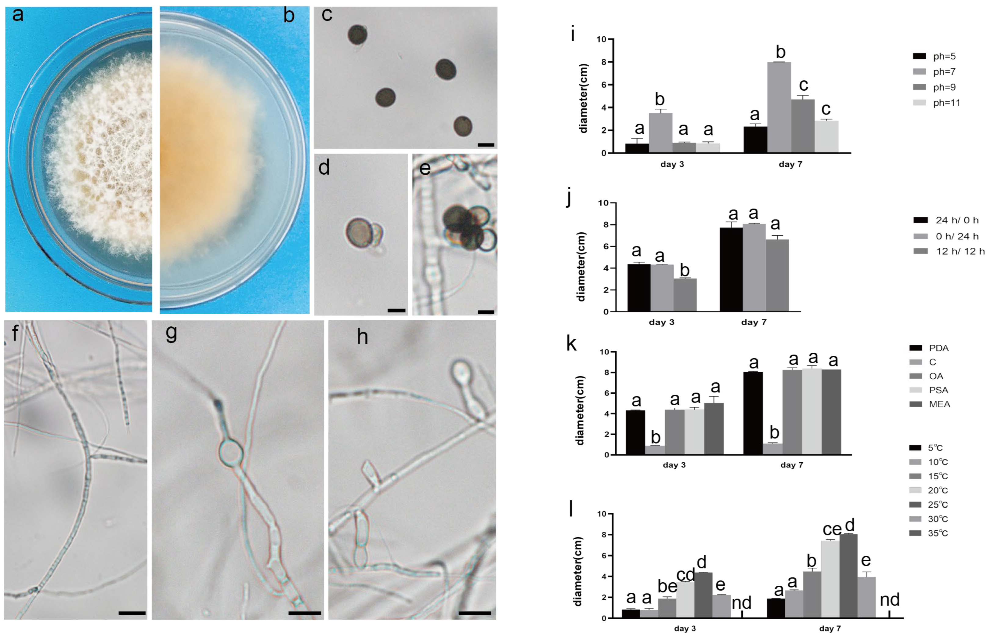 Plants 12 03091 g002