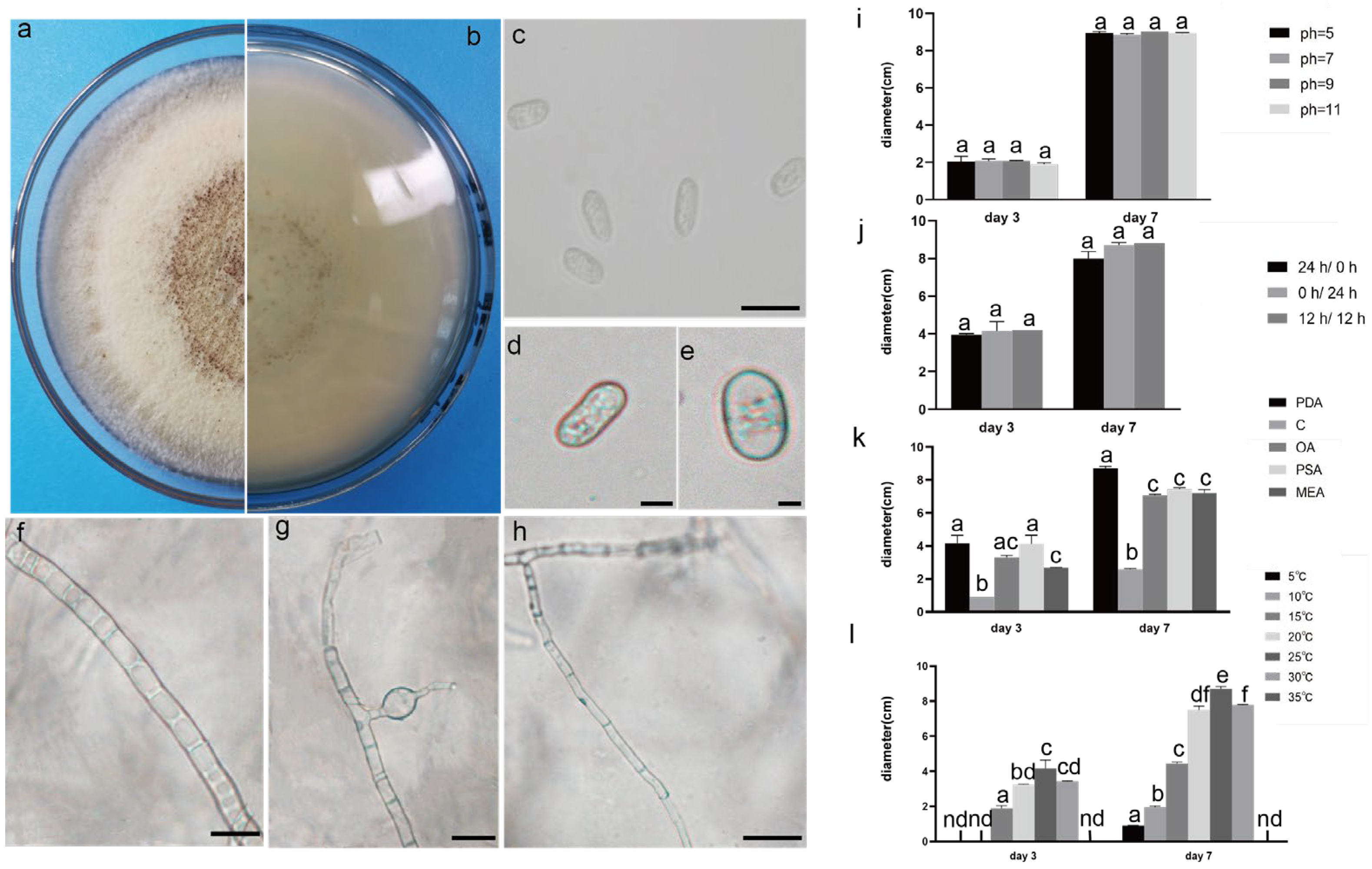 Plants 12 03091 g003