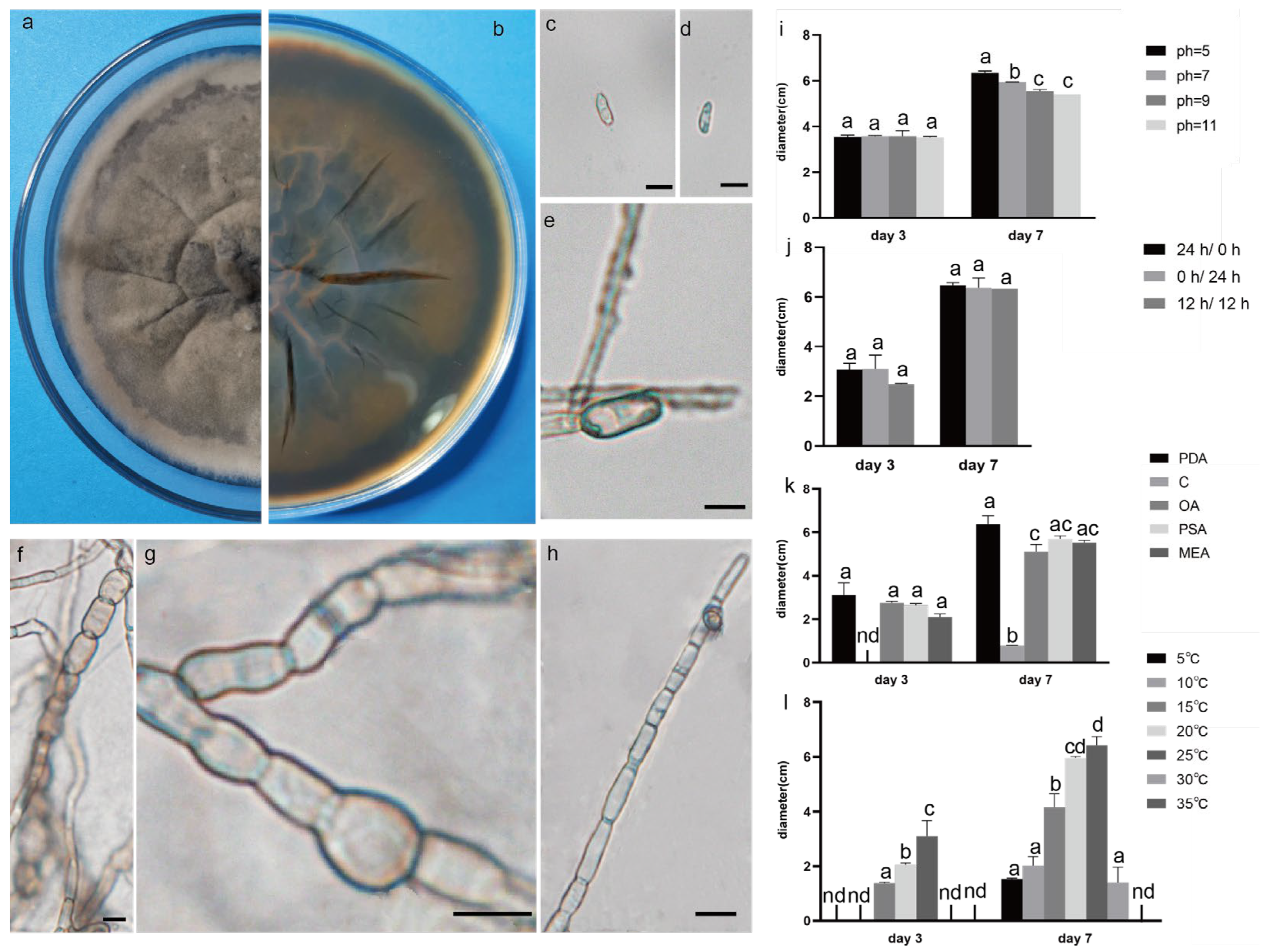 Plants 12 03091 g004