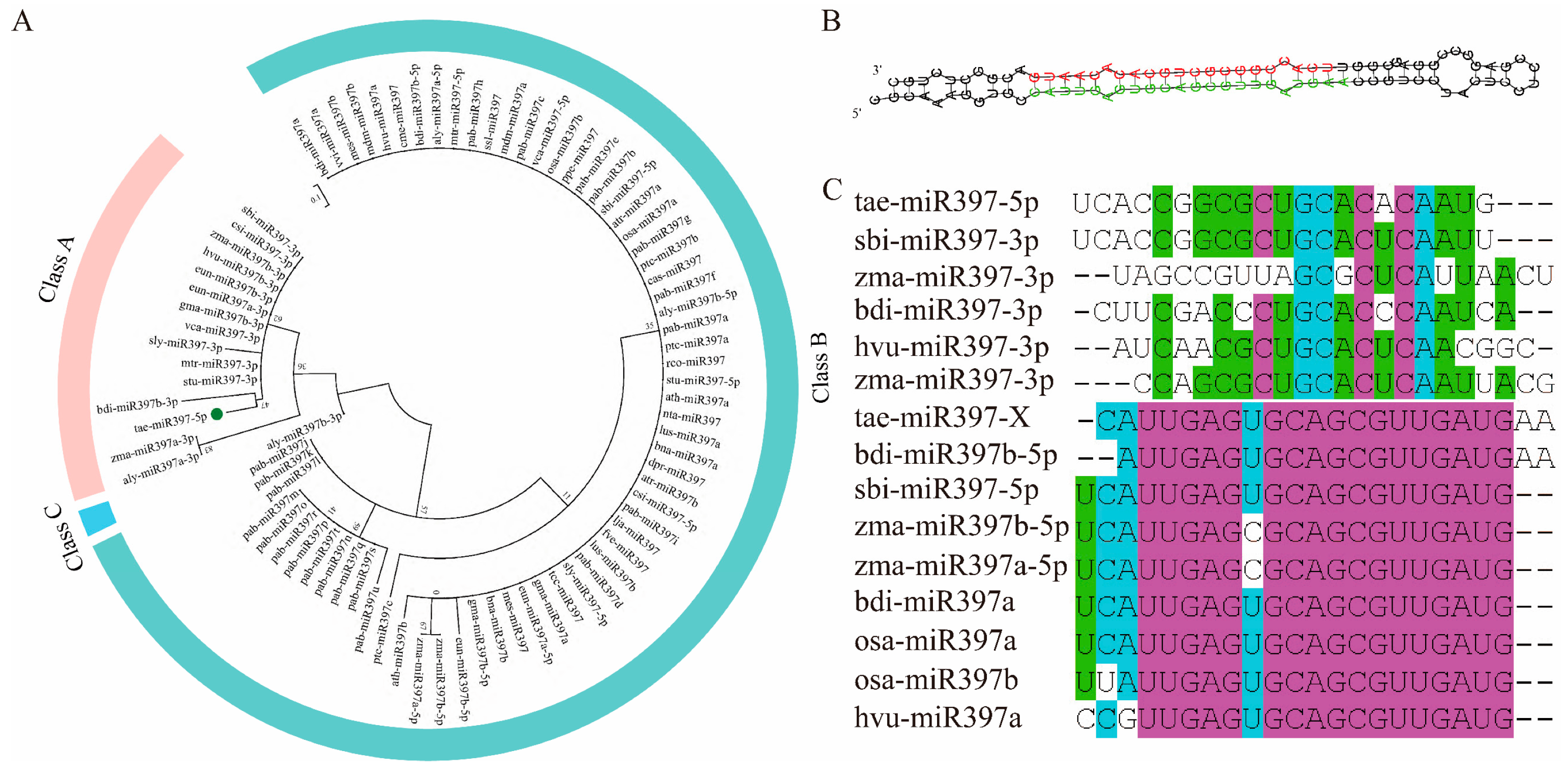 Plants 12 03096 g001 Plants 12 03096 g001