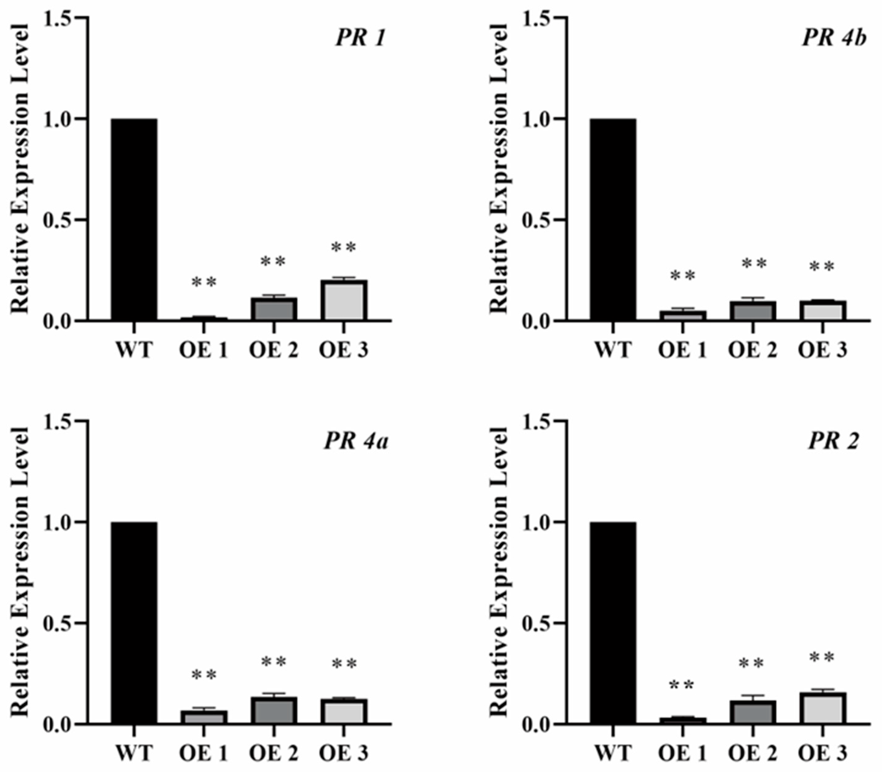 Plants 12 03096 g004 Plants 12 03096 g004
