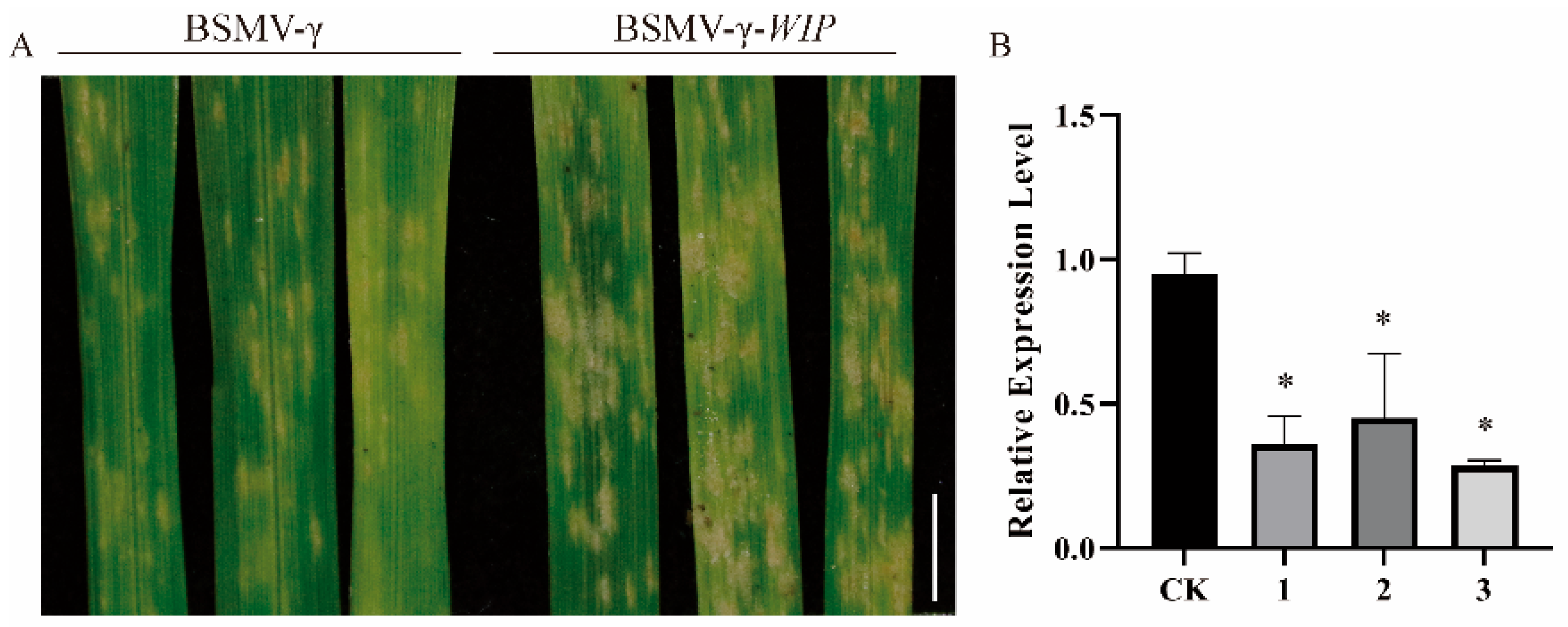 Plants 12 03096 g006 Plants 12 03096 g006