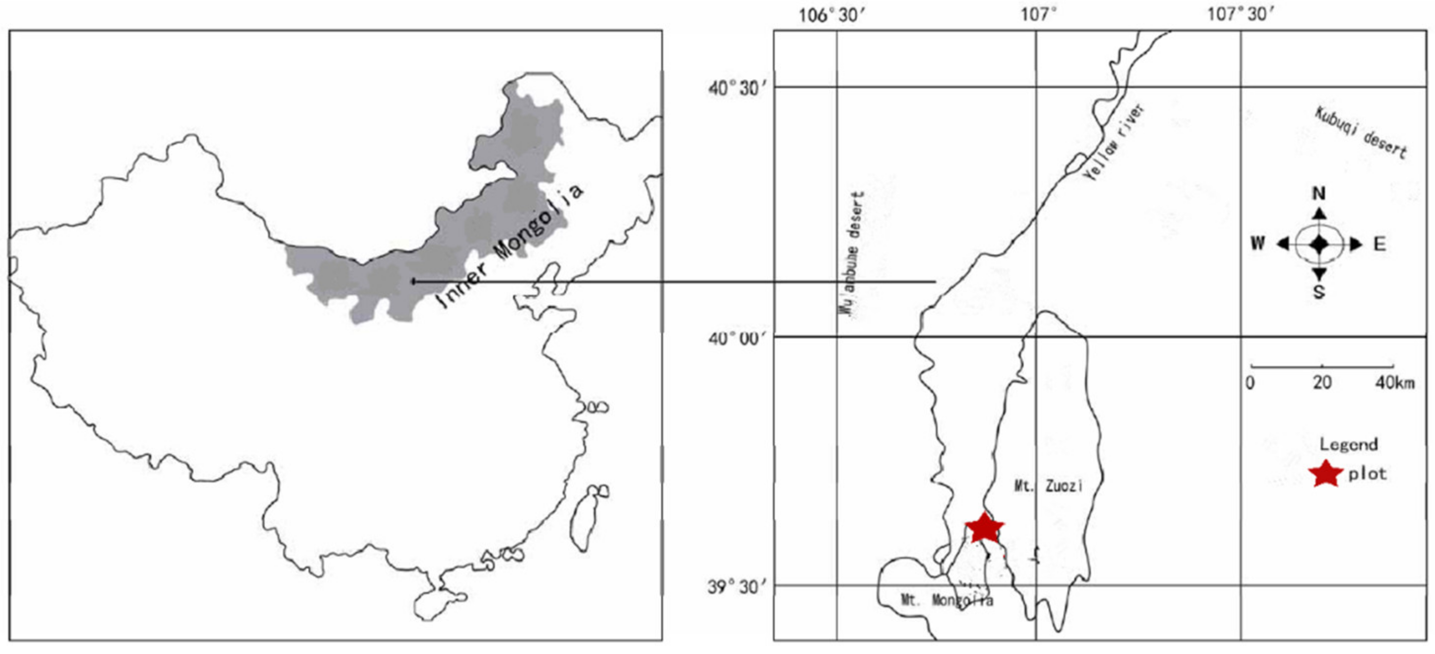 Plants 12 03103 g005