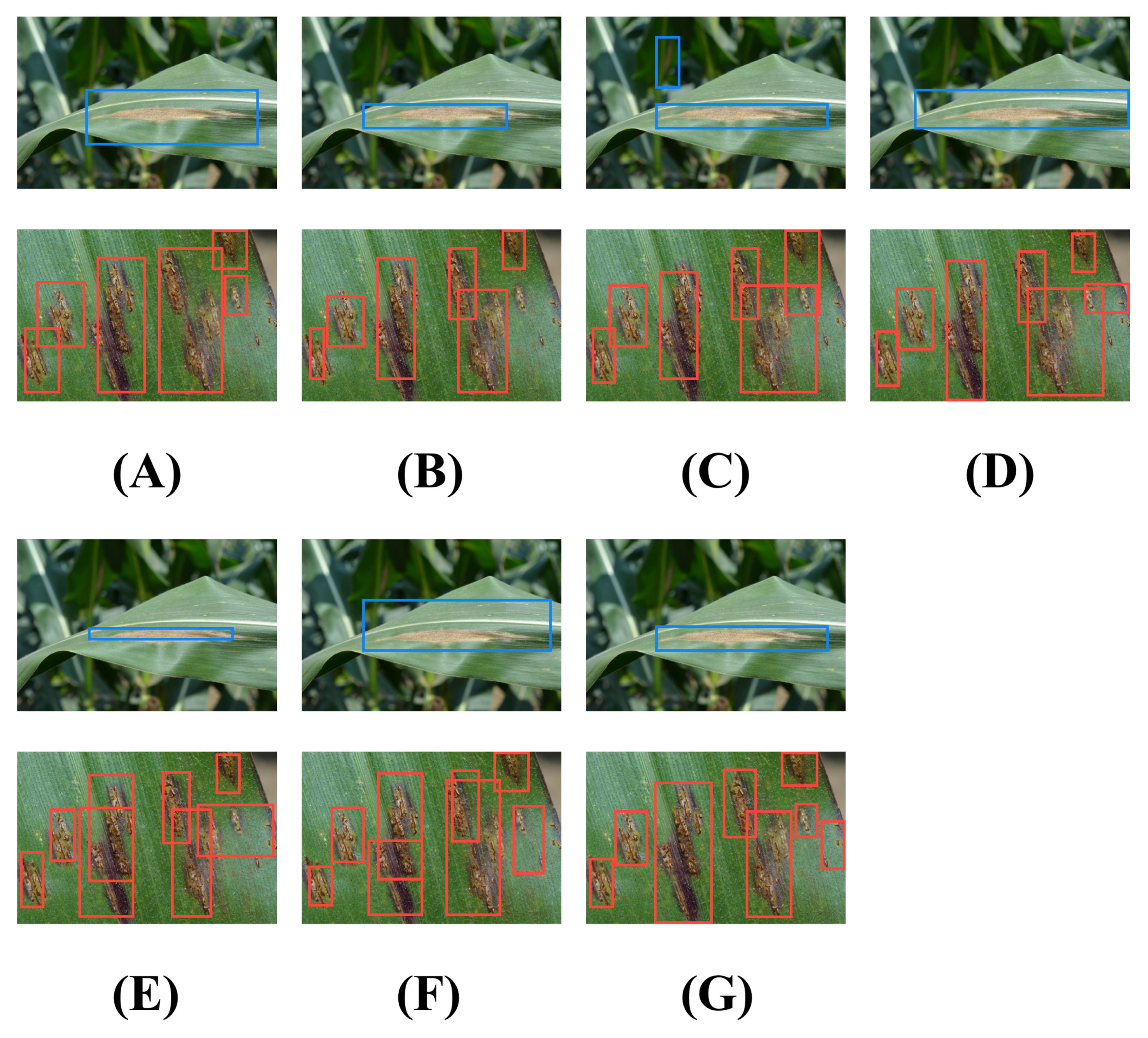 Plants 12 03105 g006