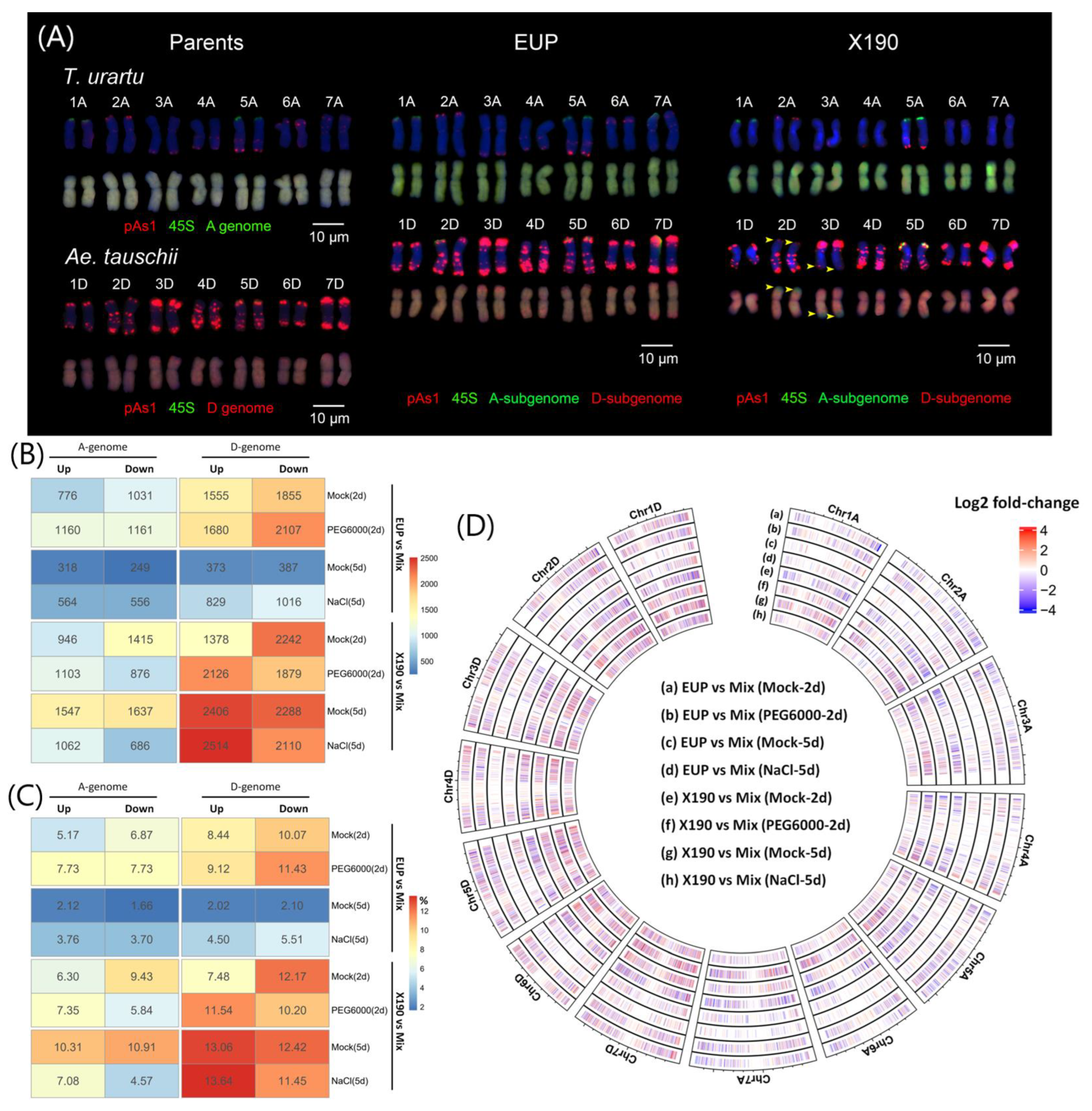 Plants 12 03111 g001