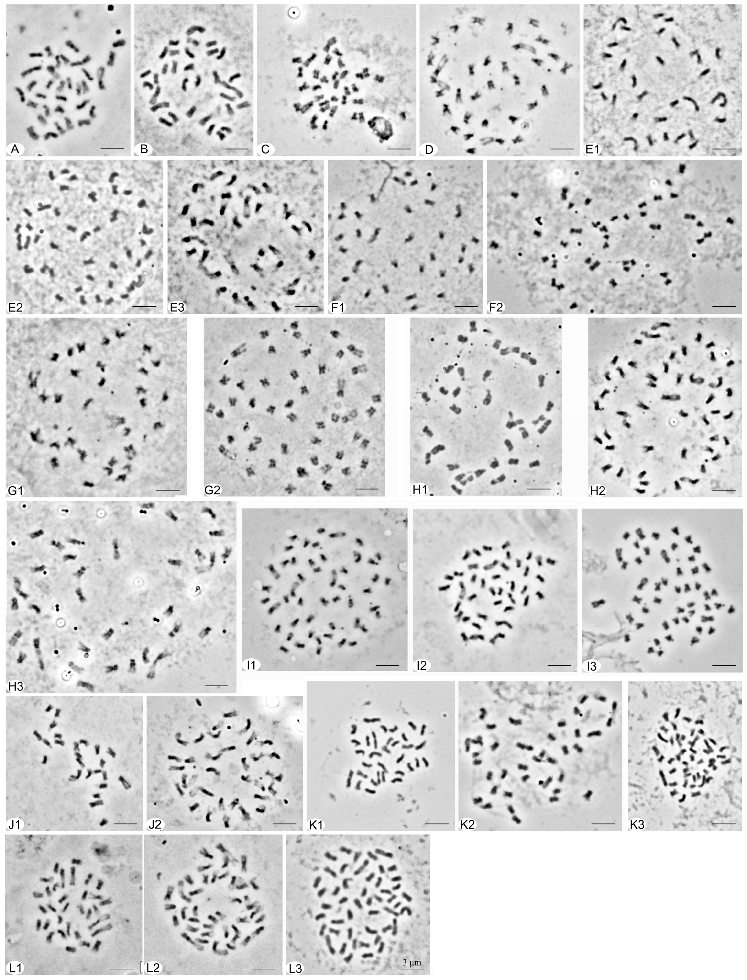 Plants 12 03116 g001