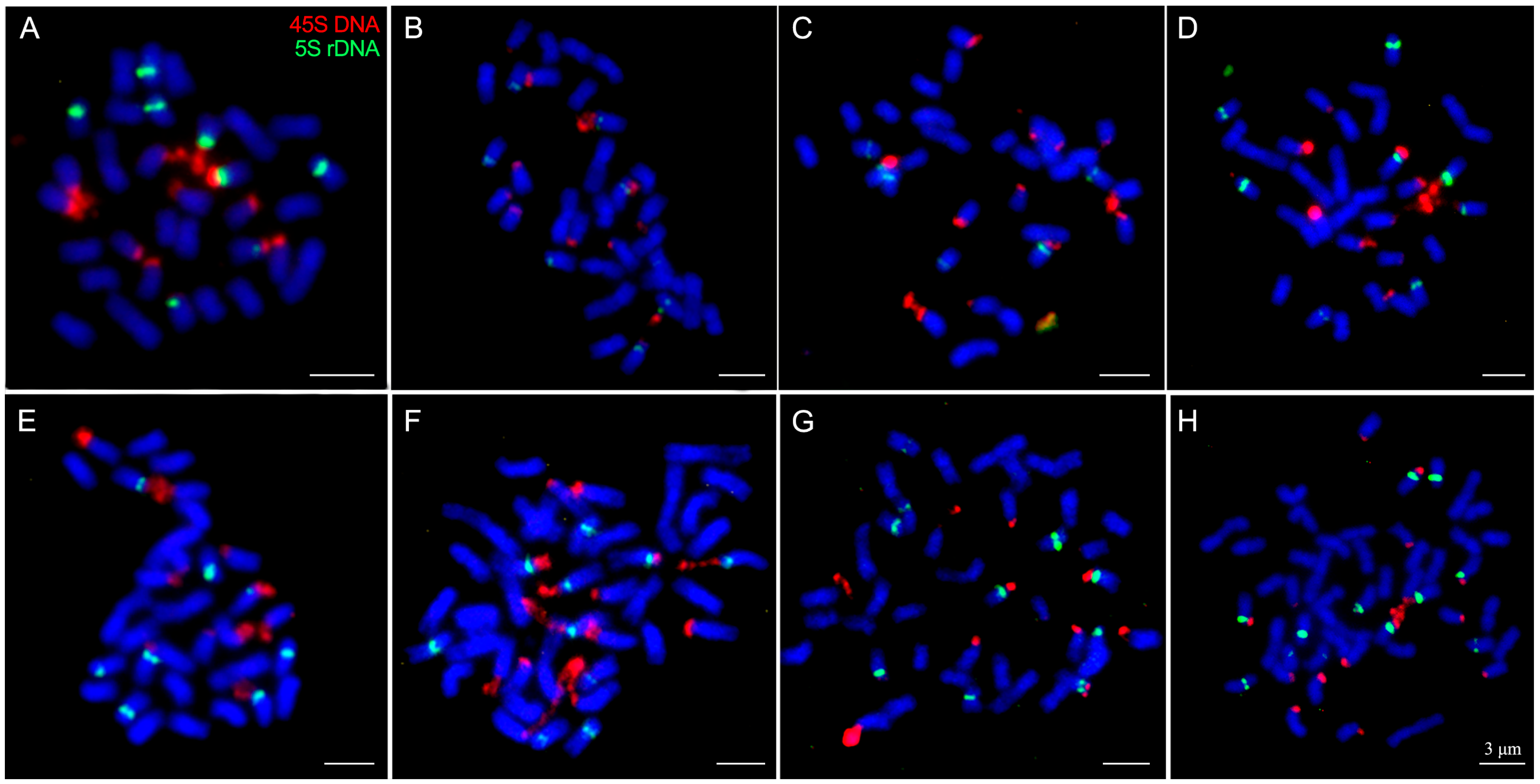 Plants 12 03116 g003