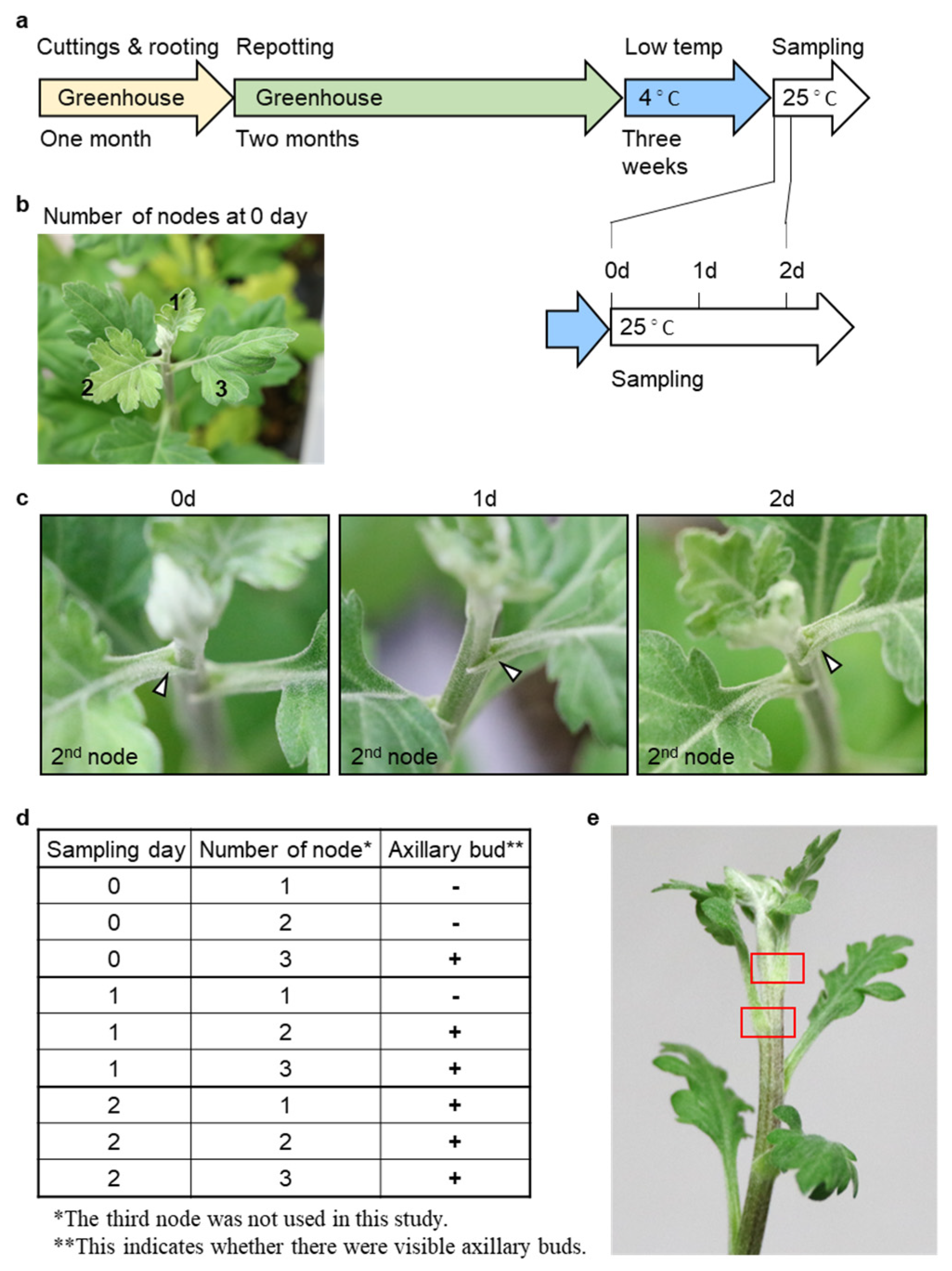 Plants 12 03122 g001