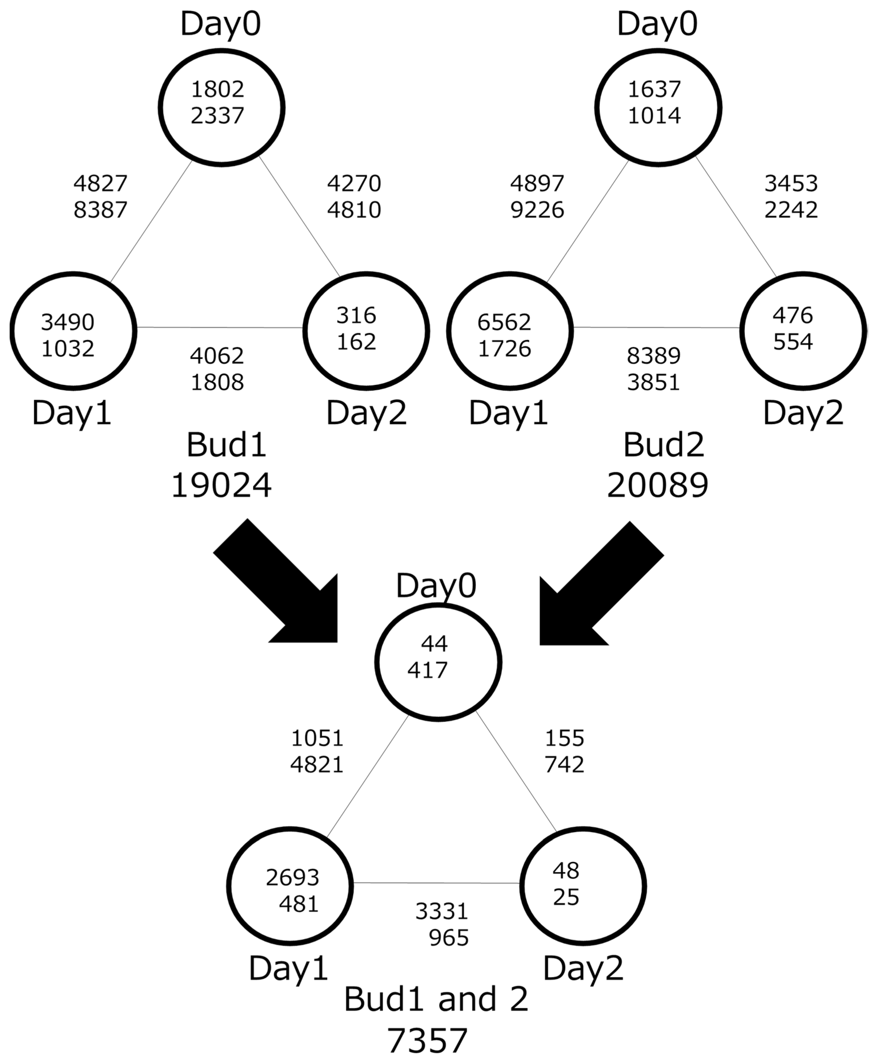 Plants 12 03122 g003
