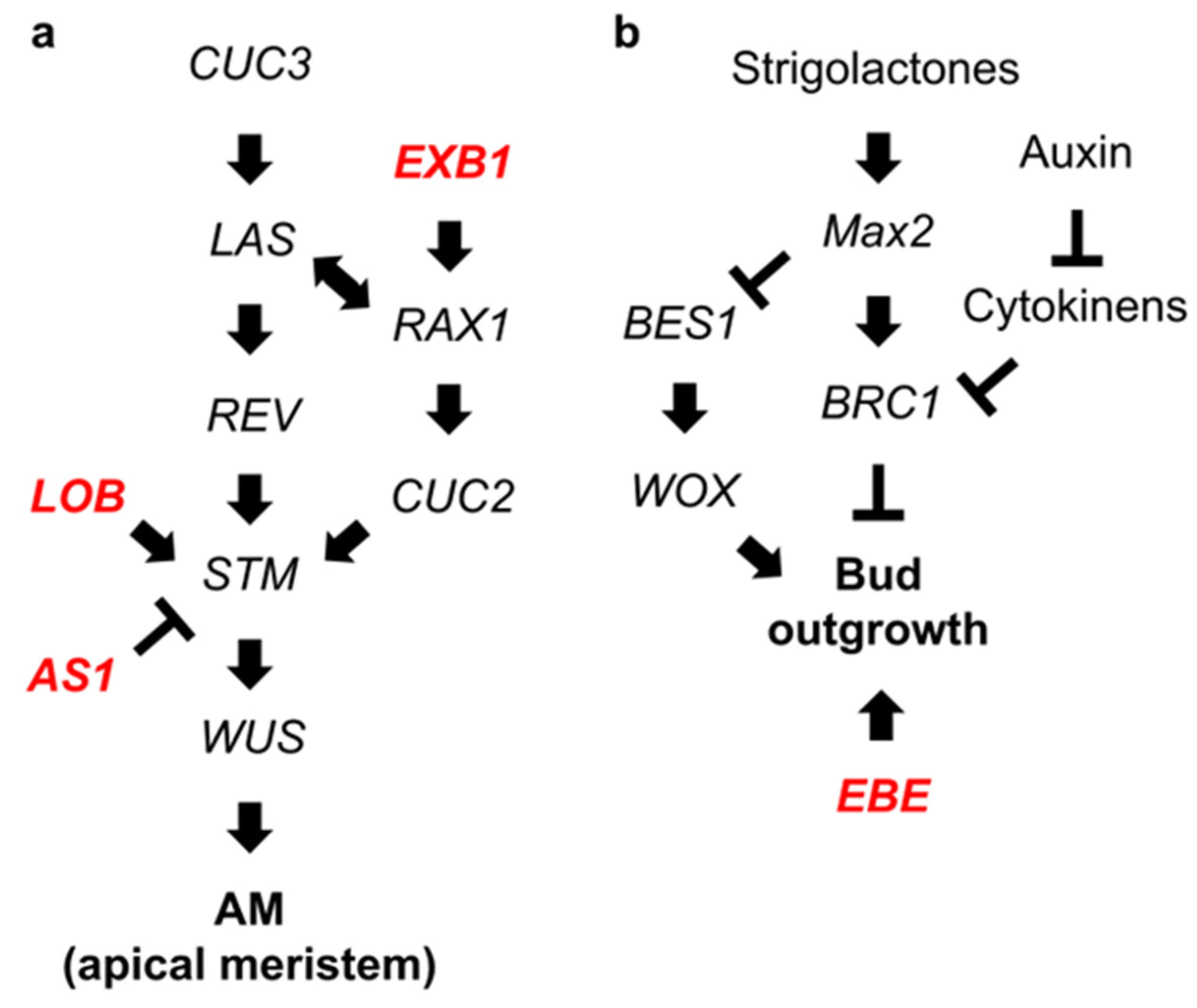 Plants 12 03122 g006