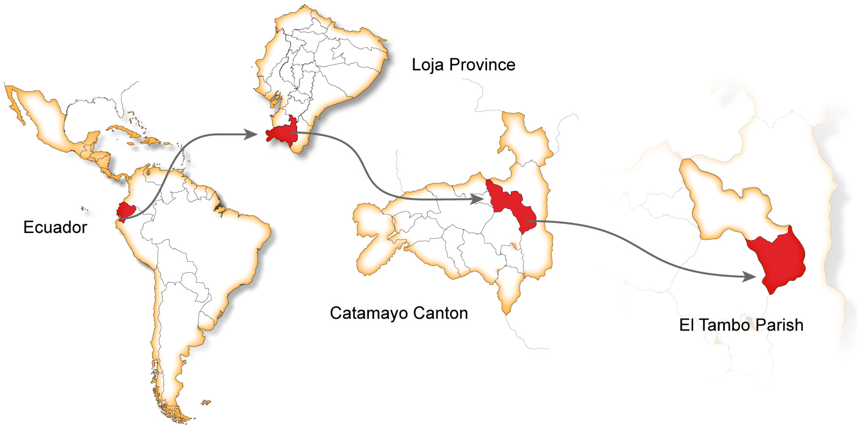 Plants 12 03139 g004