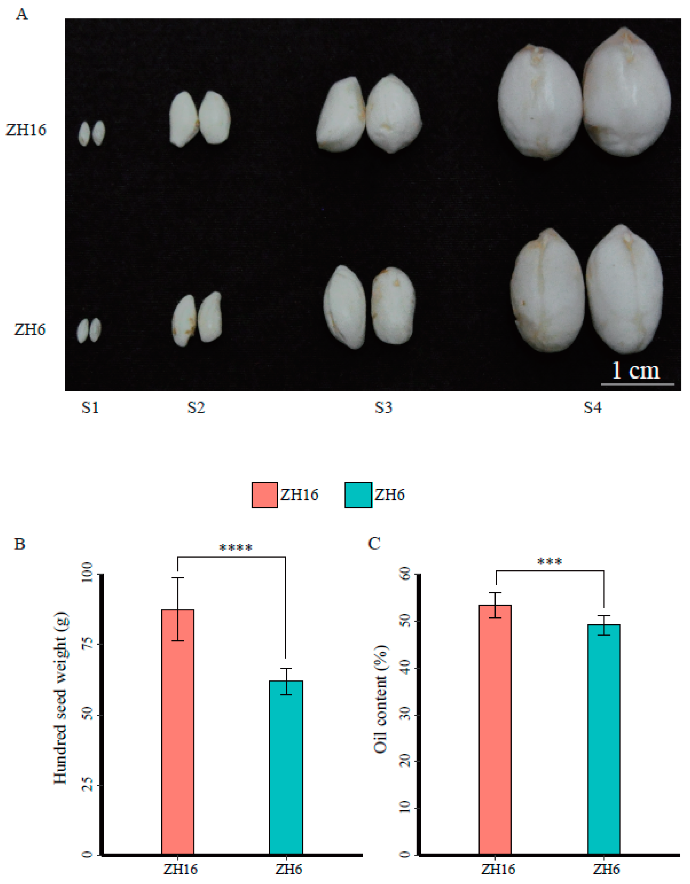 Plants 12 03144 g001