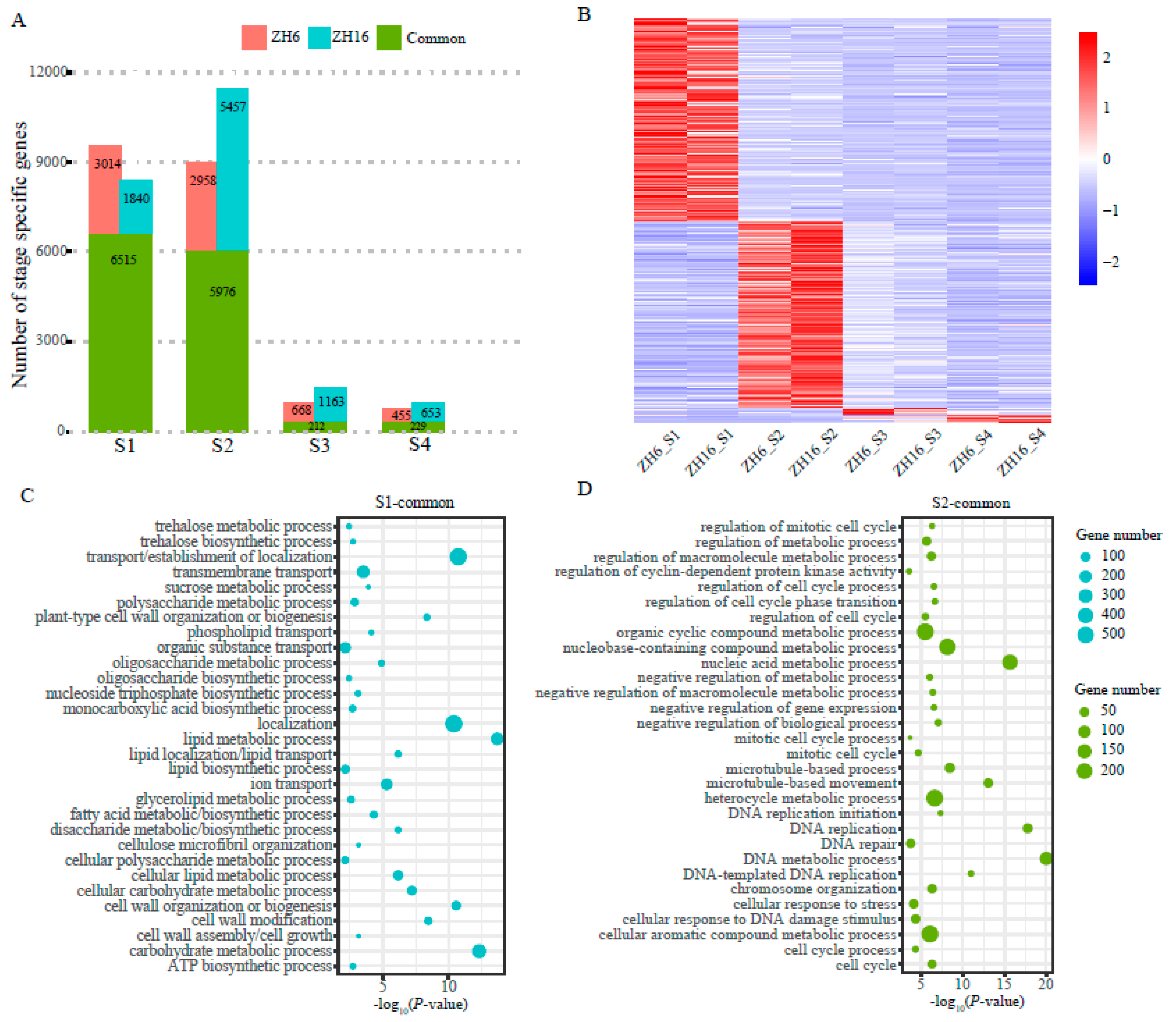 Plants 12 03144 g003