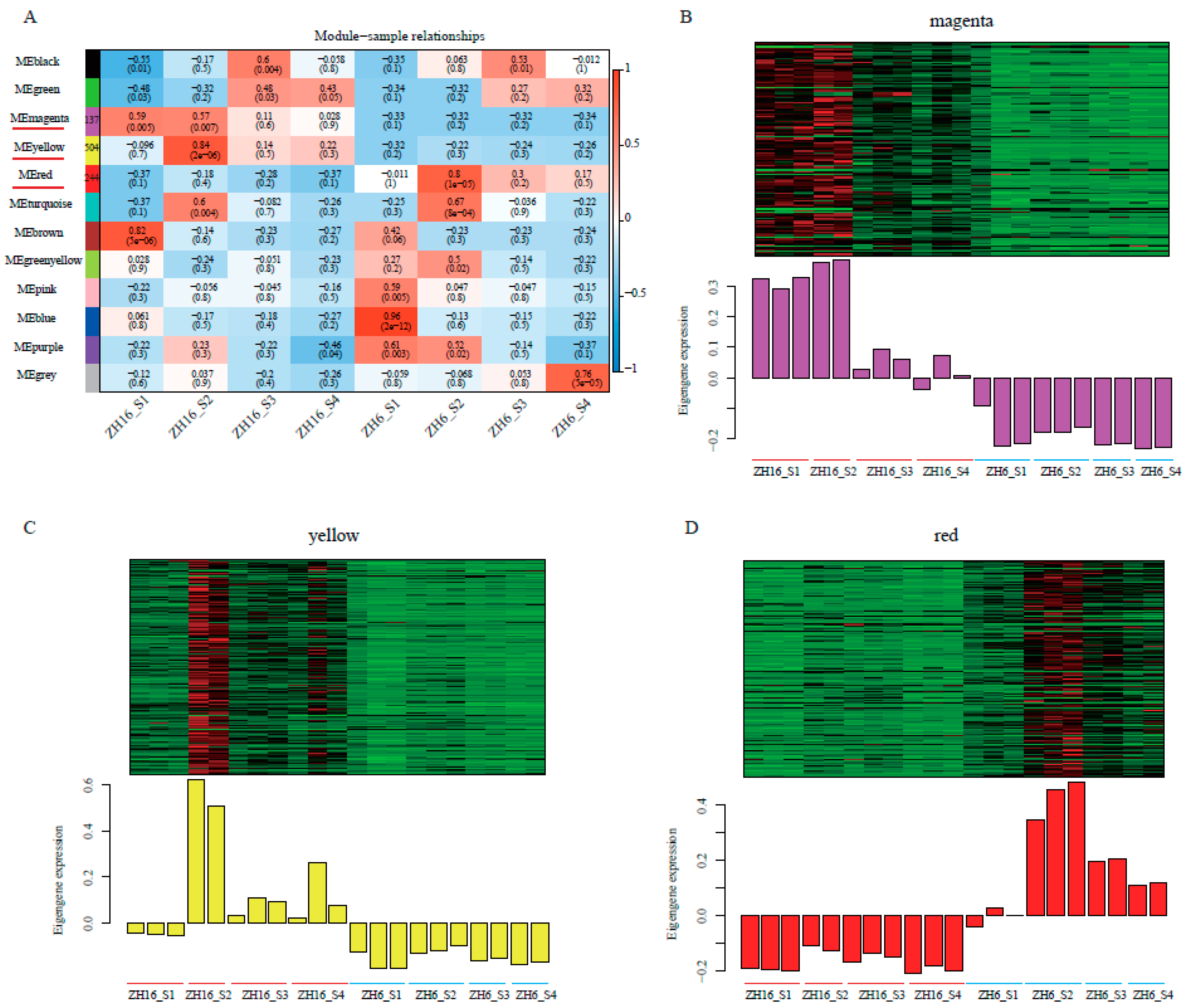 Plants 12 03144 g005
