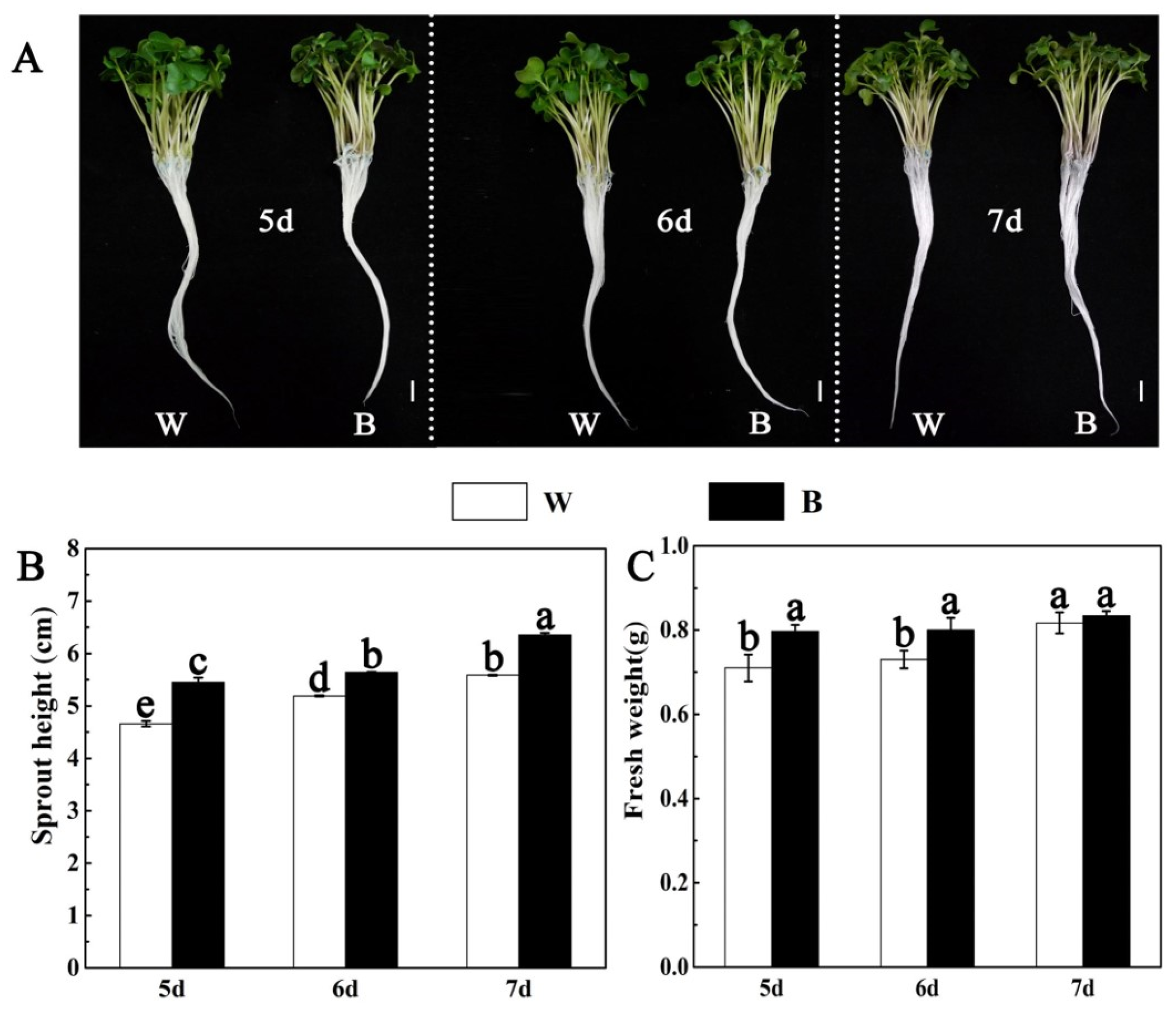 Plants 12 03151 g001 Plants 12 03151 g001