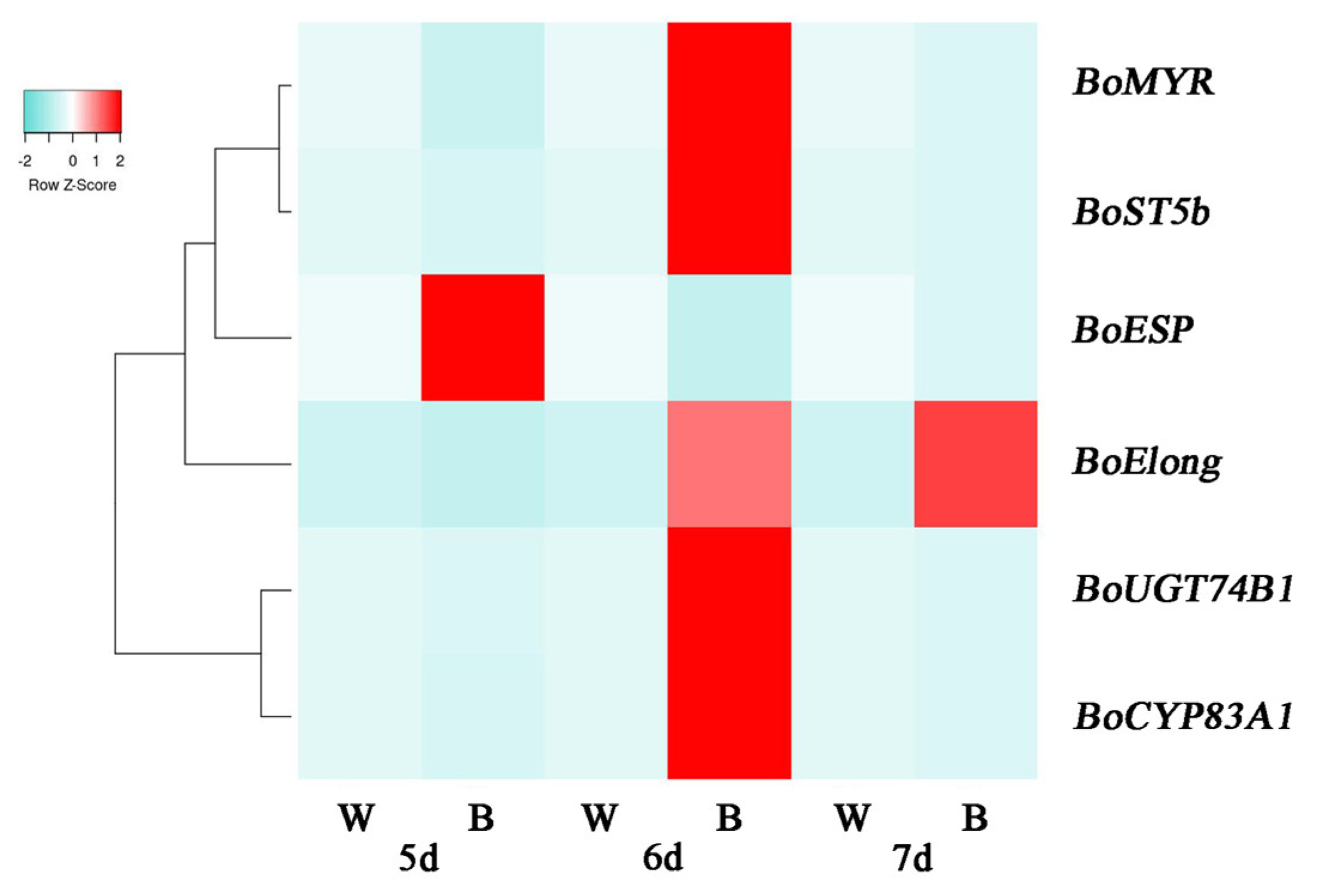 Plants 12 03151 g005 Plants 12 03151 g005