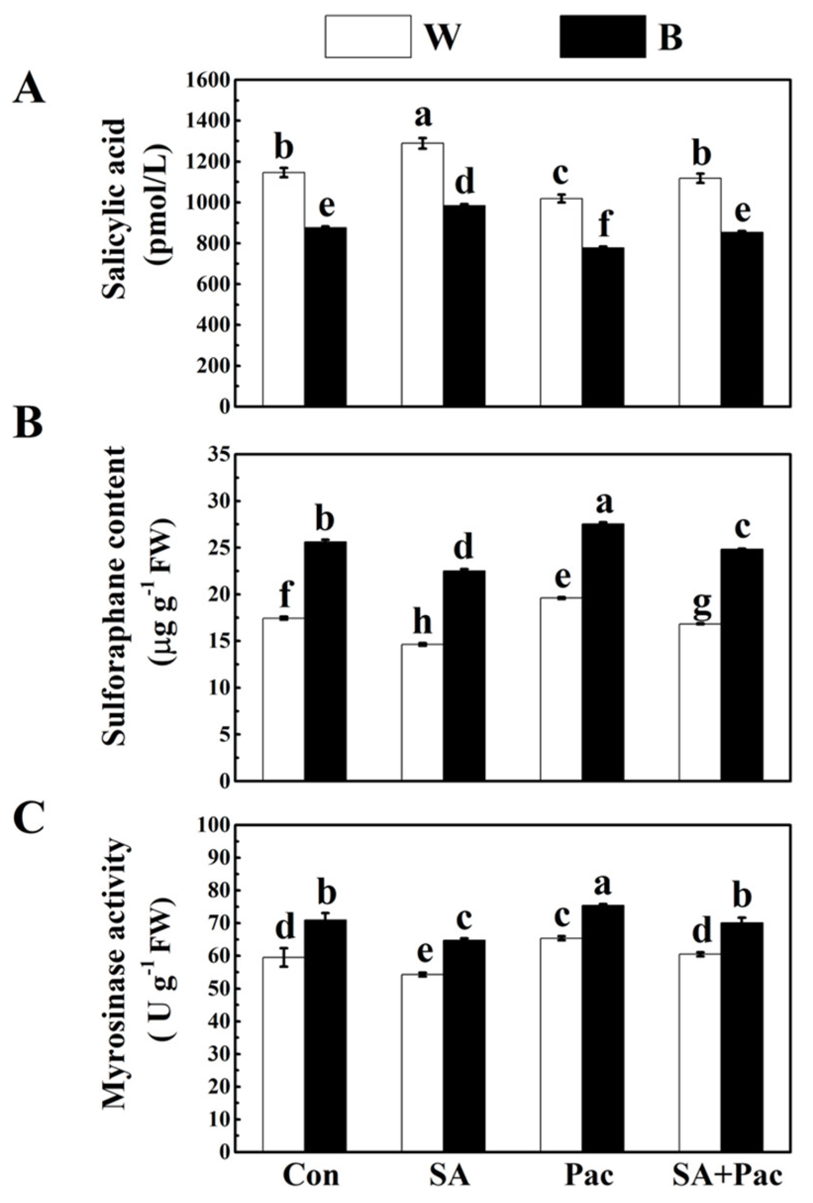 Plants 12 03151 g007 Plants 12 03151 g007
